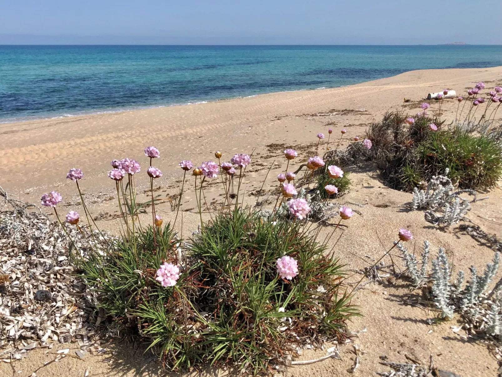 'Villa verde' in Strandnähe-Image-tags.info