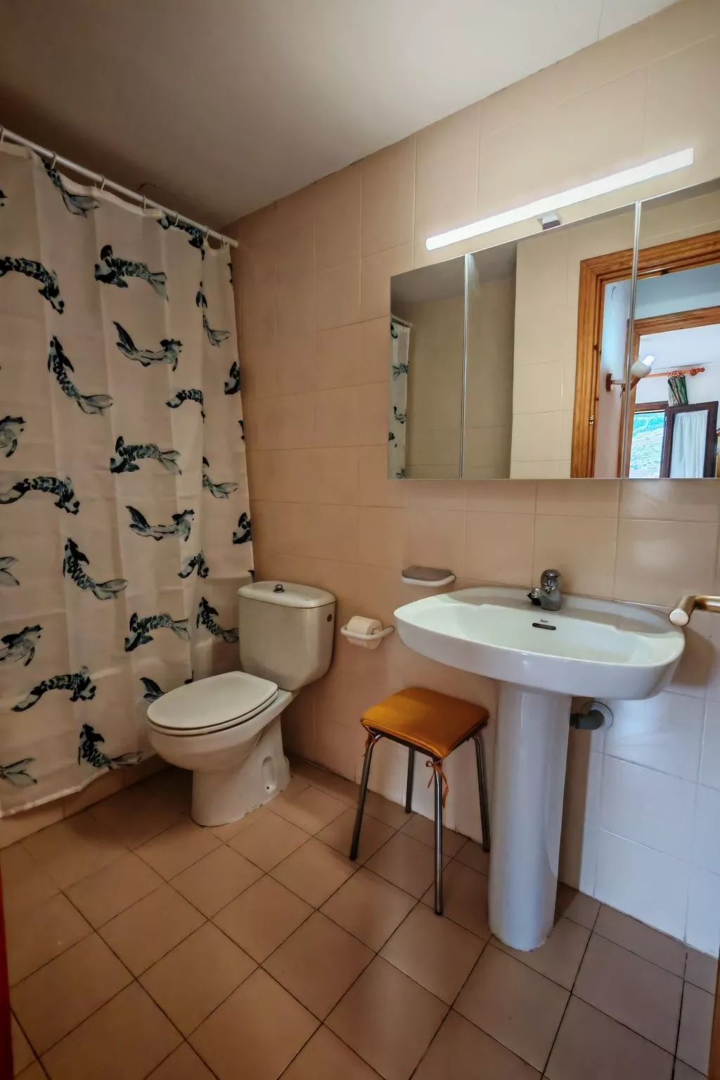 Wohnung mit Balkon Falcó 14 Vall de Boí - Binnen