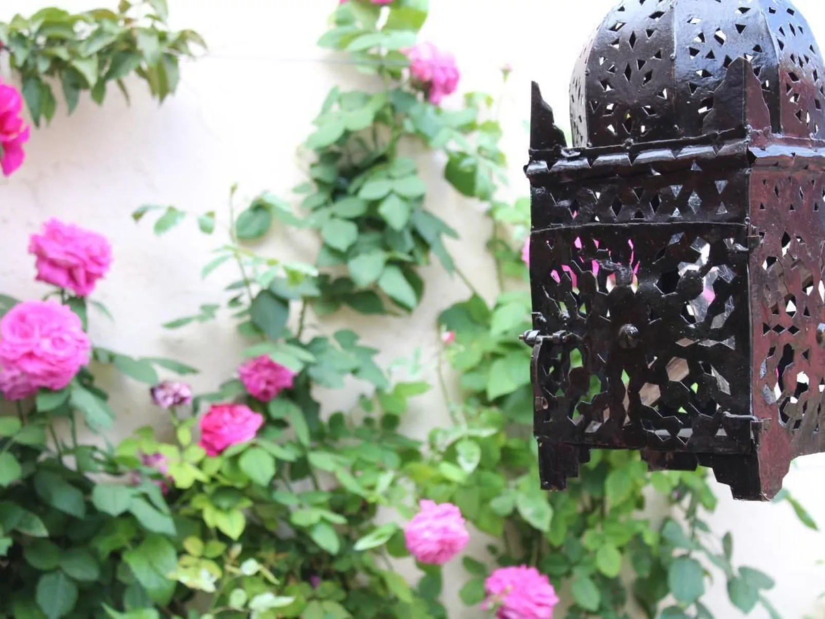 Casa Magdalena, Fincahaus, Hund erlaubt, Pool