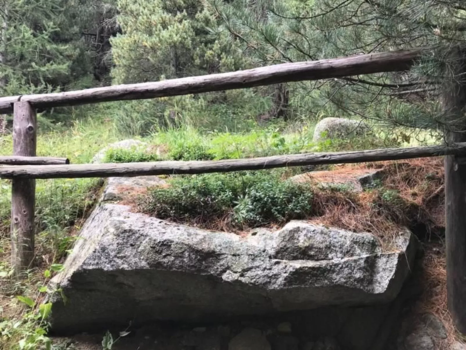 Chesa Trais Fluors-Buiten