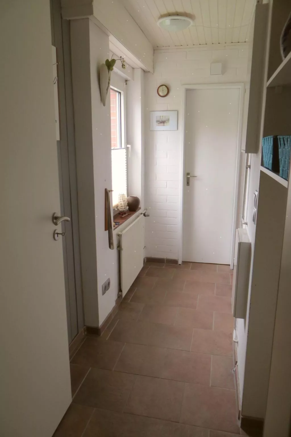 Nordsee Sternchen-Binnen