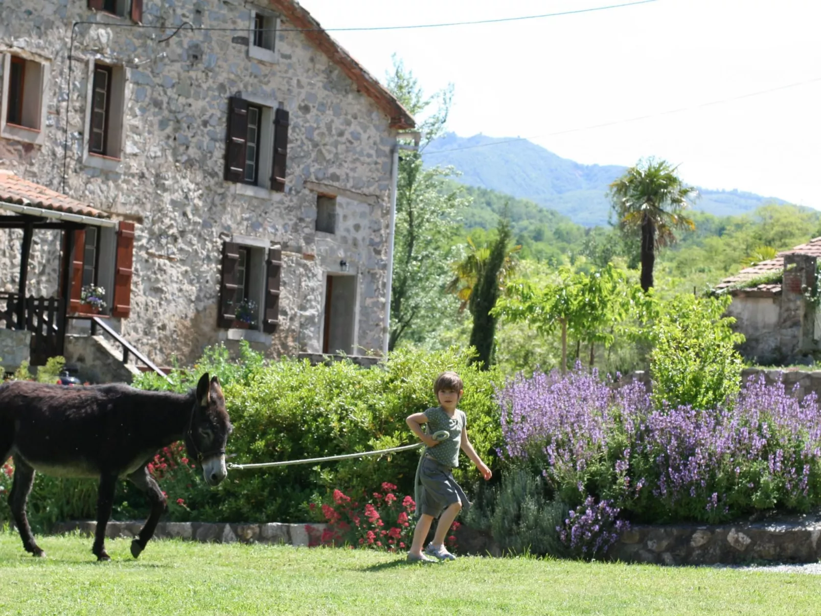 "Le Grenier" mit Pool-Buiten