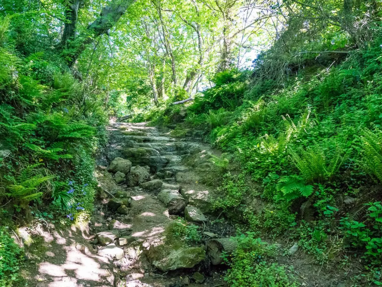 Schönes Ferienhaus in Hastings mit Whirlpool, Terrasse und Garten-Buiten