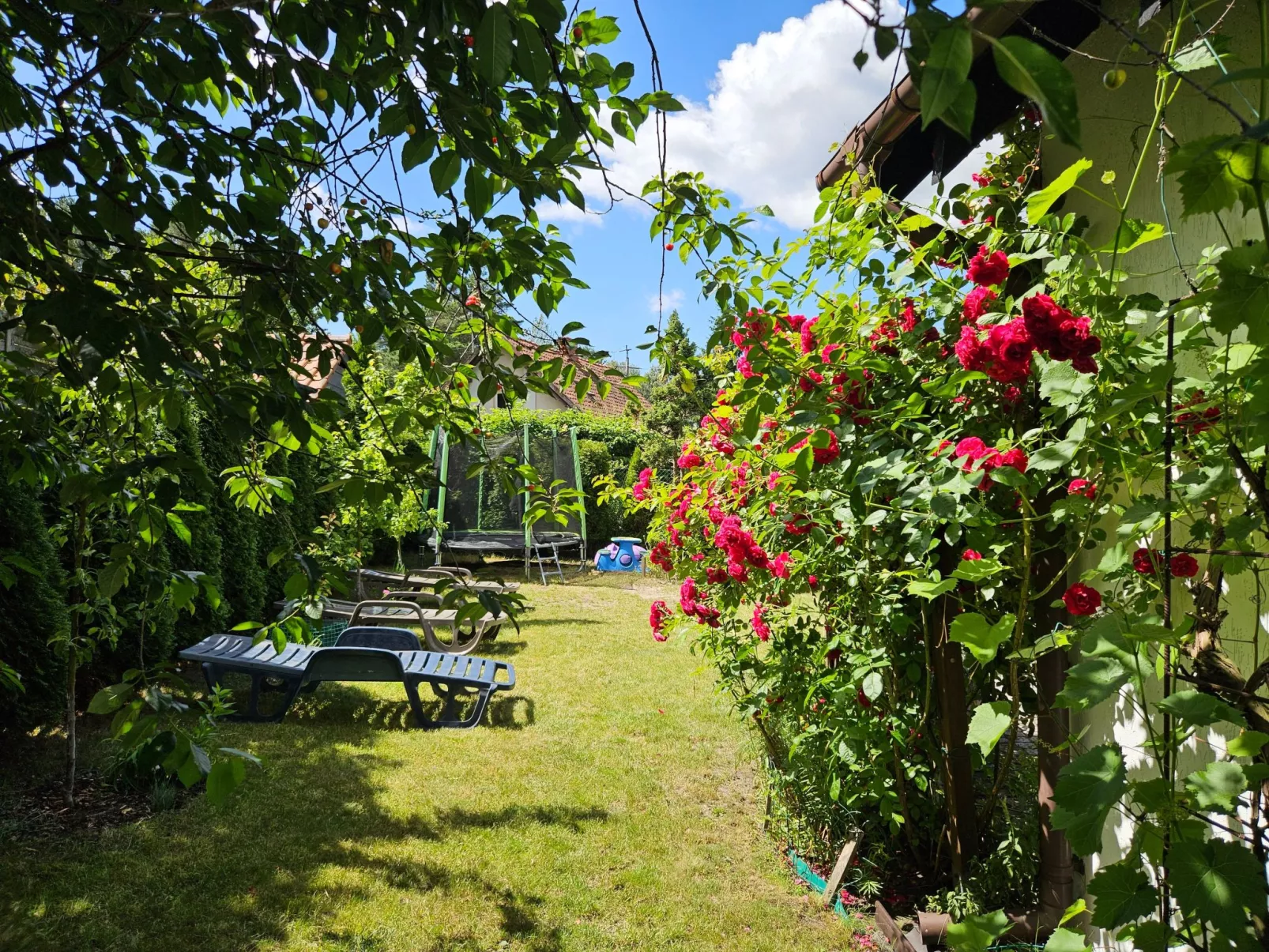 Fachwerkhaus "Paula" mit Blick auf das Wasser-Image-tags.info