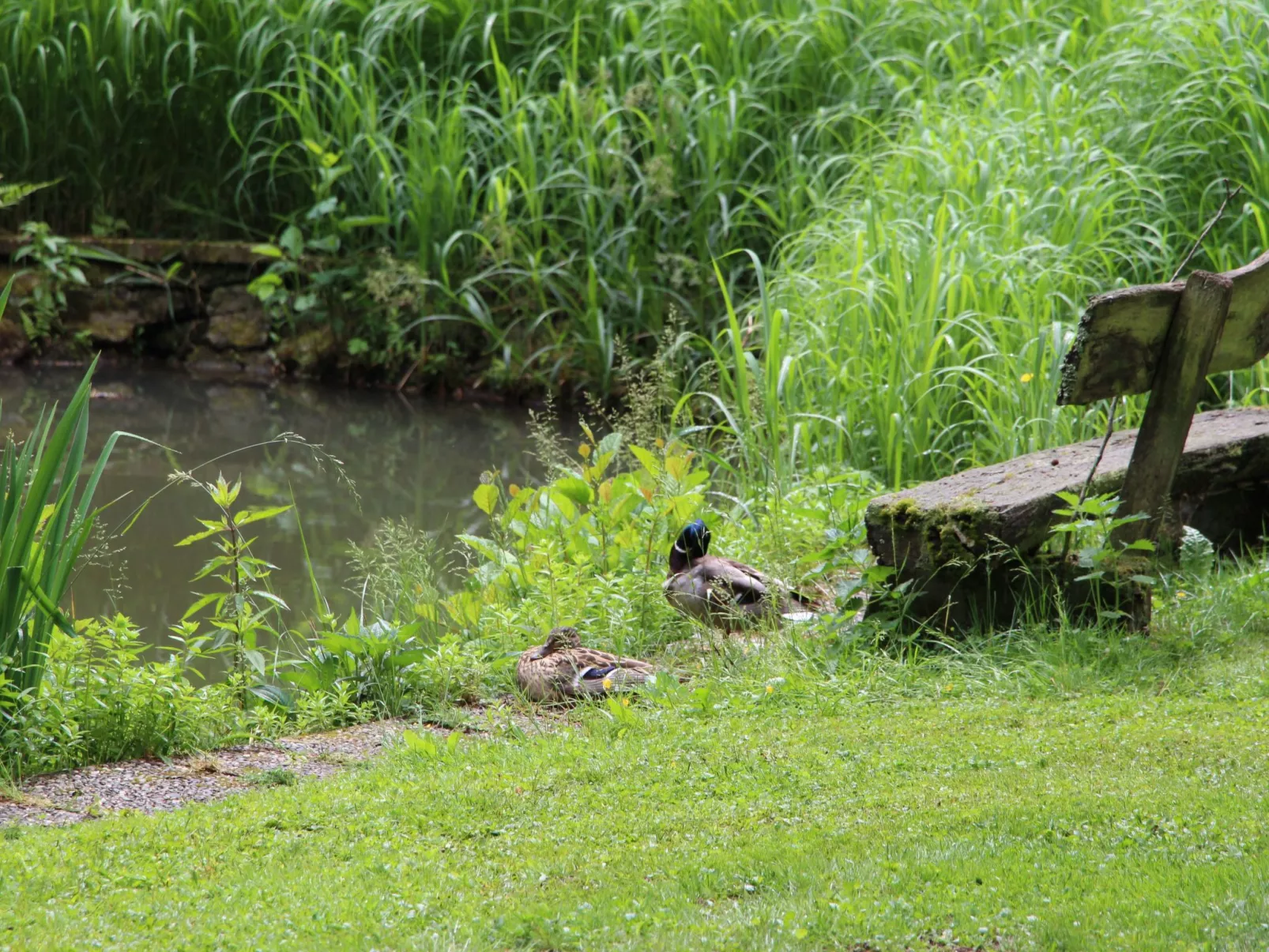 Ferienvilla mit eigener Sauna-Image-tags.info