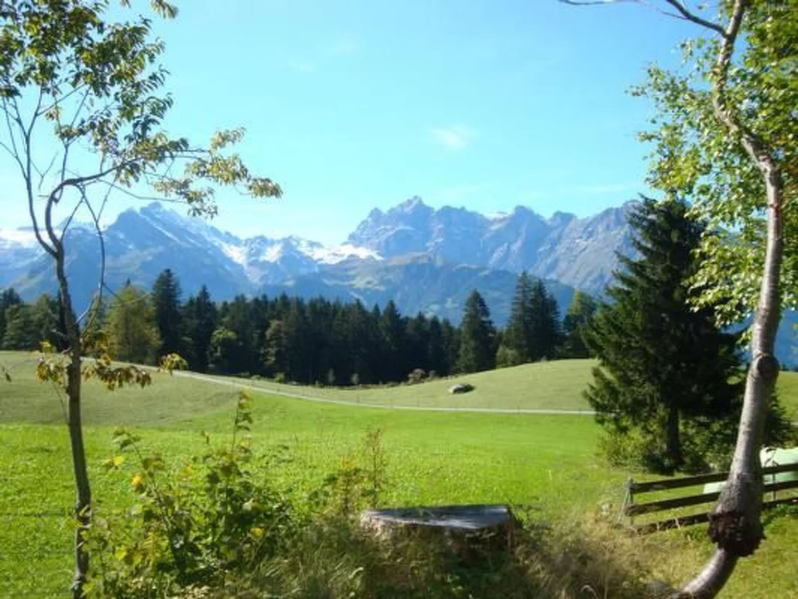 Ferien im grünen rechts-Buiten