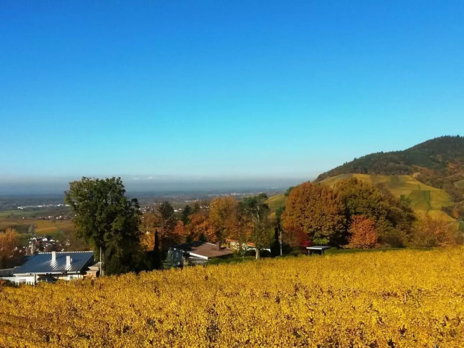 Traumwohnung-Image-tags.info