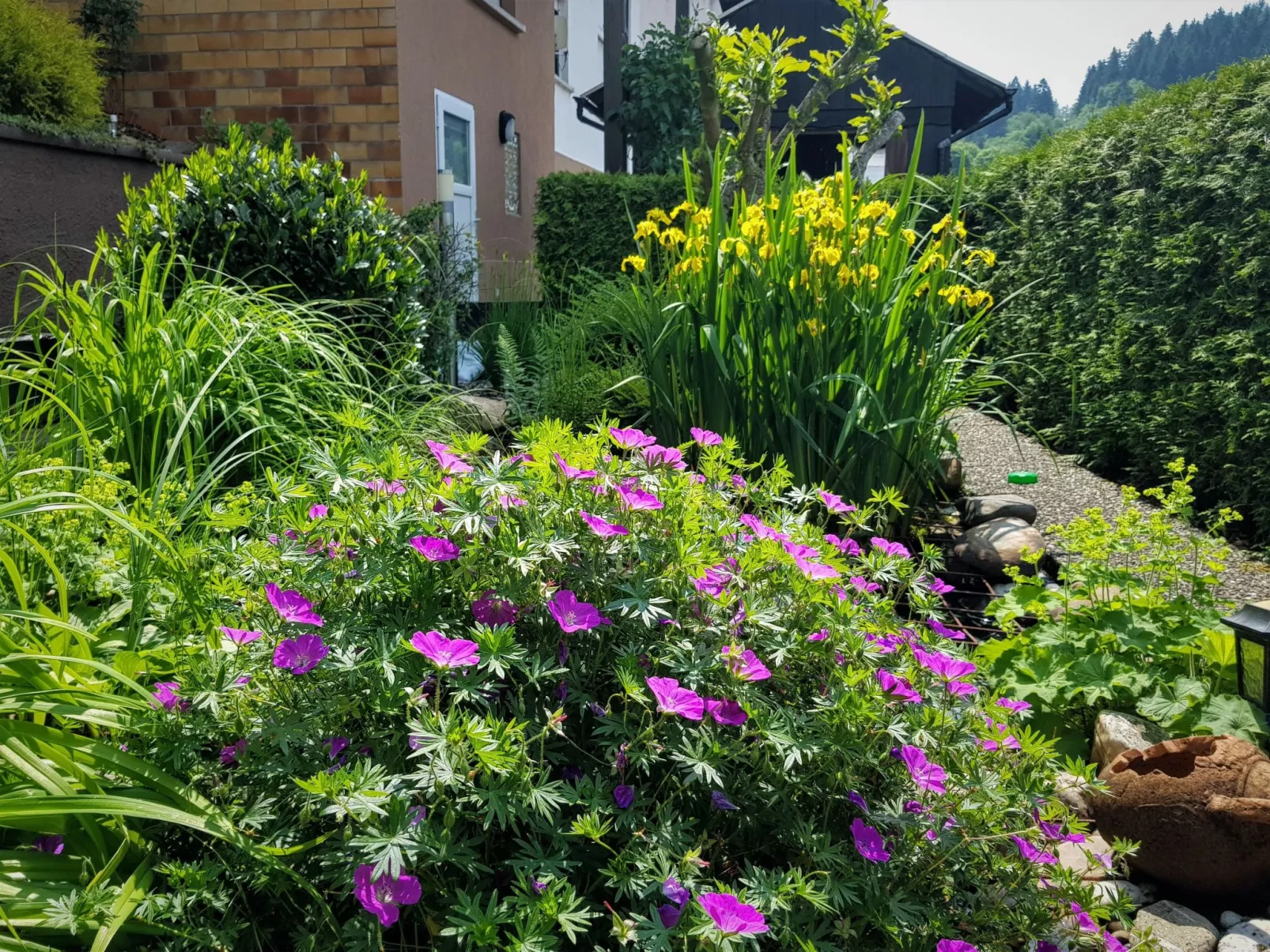 Mit Blick auf das Wasser-Buiten