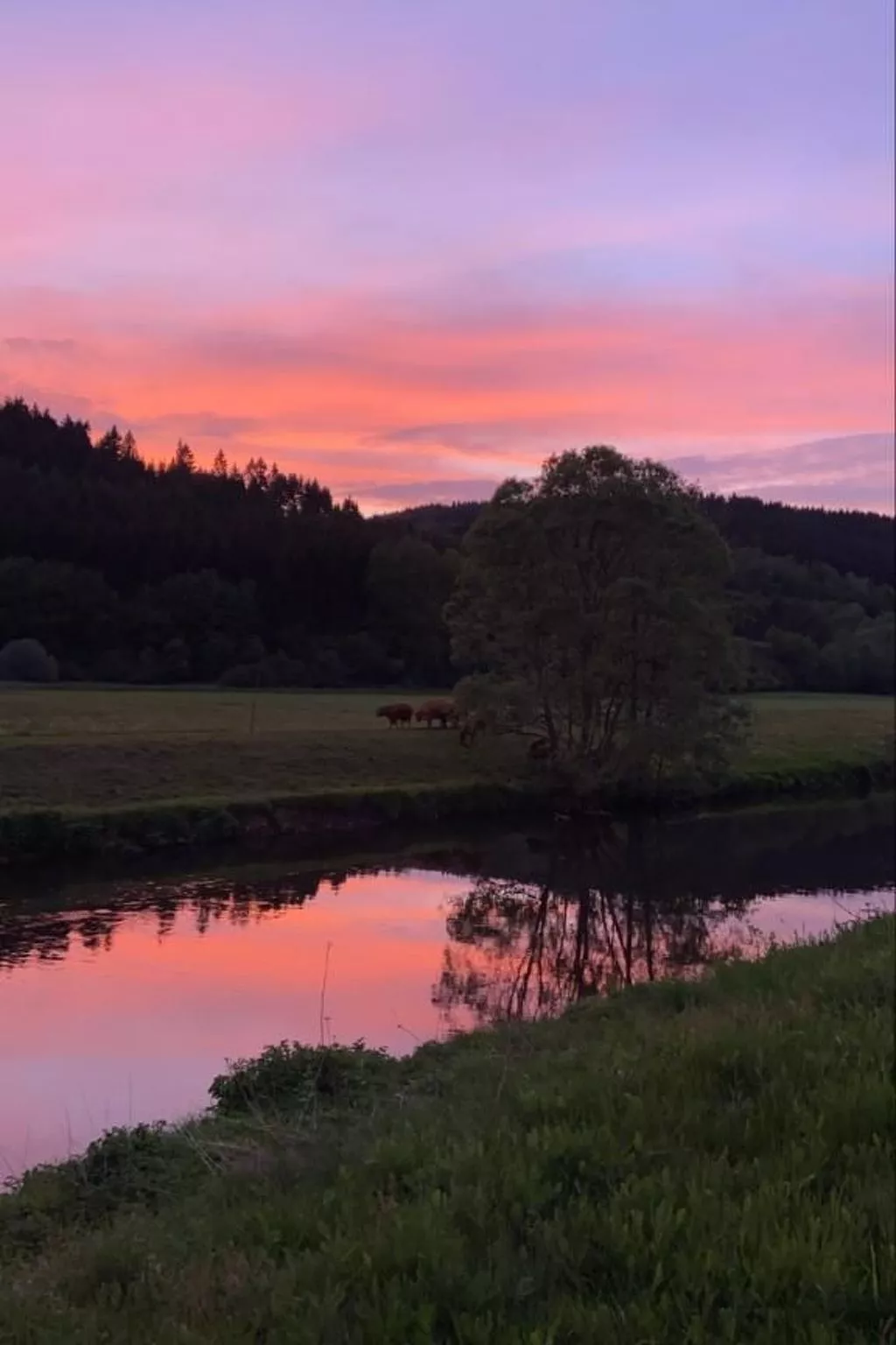 In Zendscheid mit Offenem Kamin-Buiten