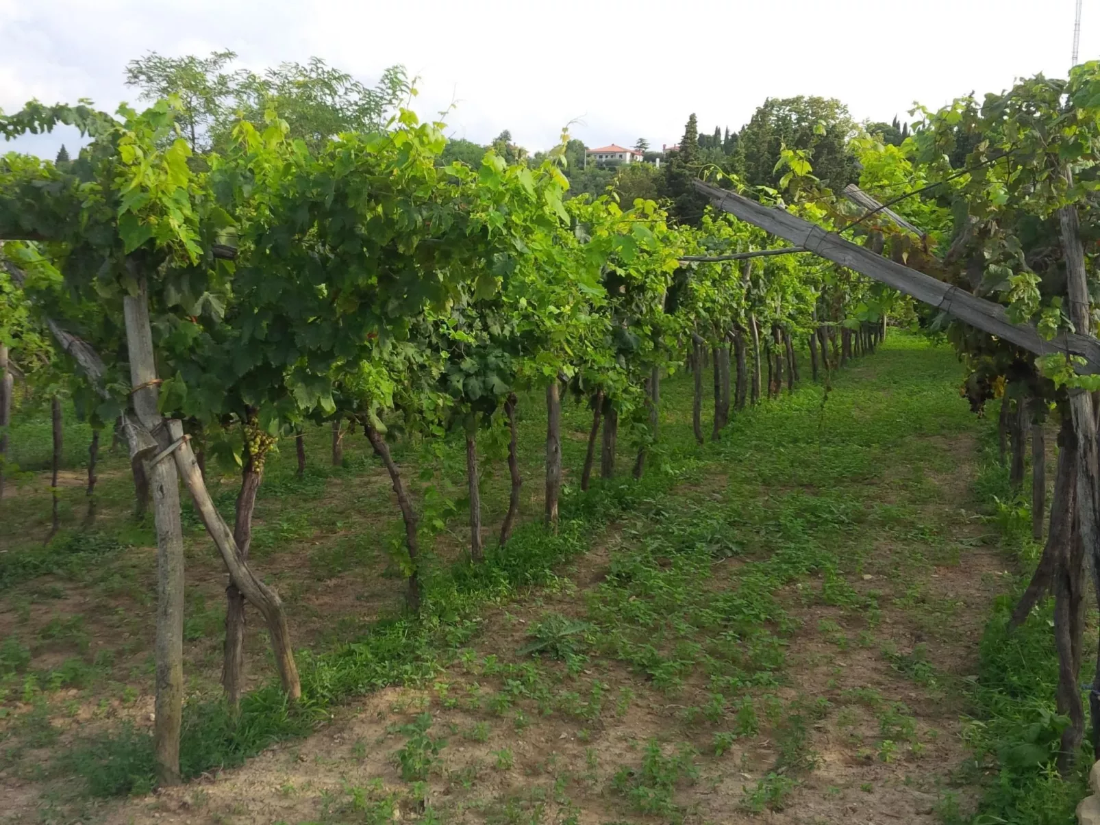 Appartement mit Balkon-Image-tags.info