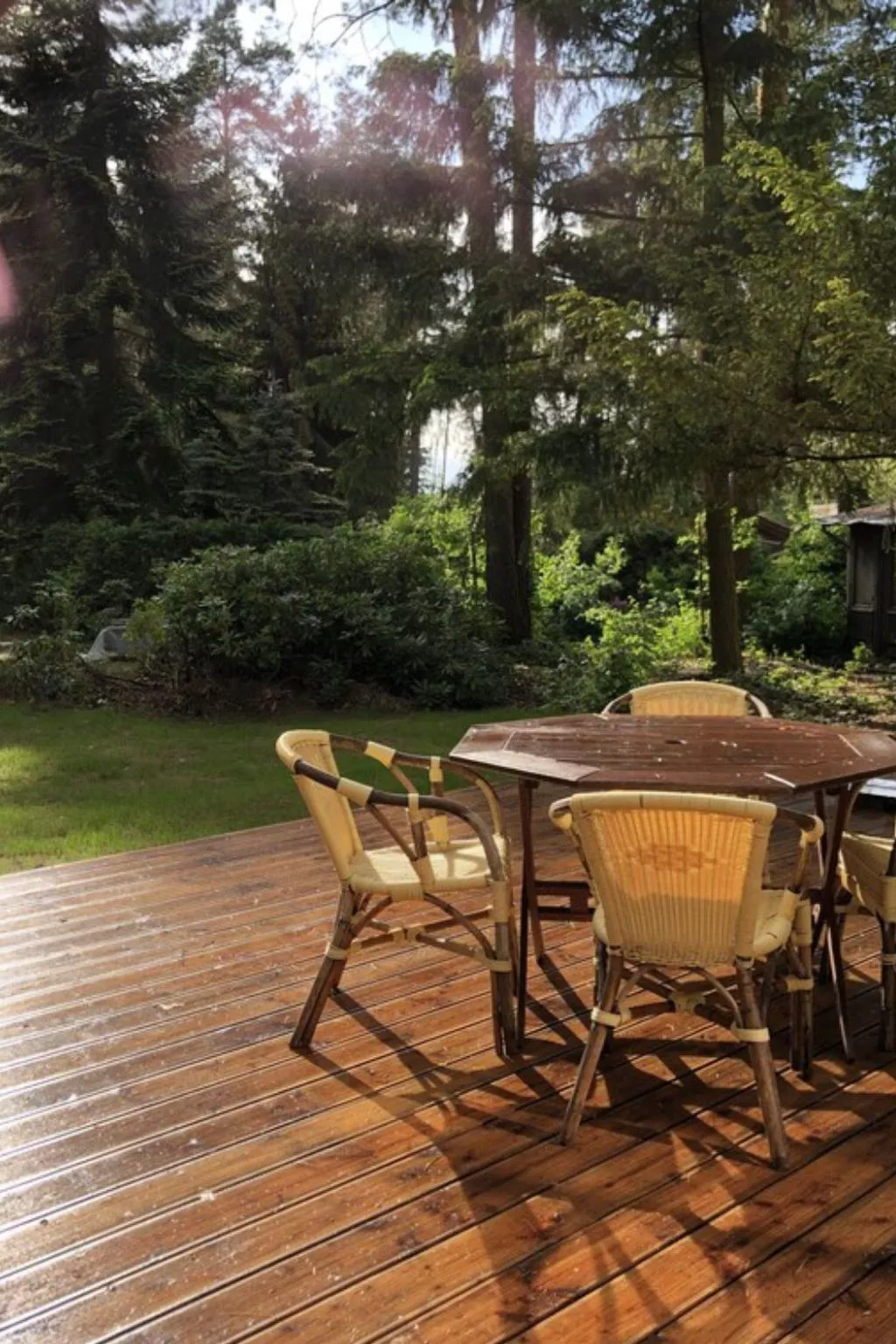 Reetdach Ferienhaus am Lübbesee Sauna Bootsteg neu-Buiten