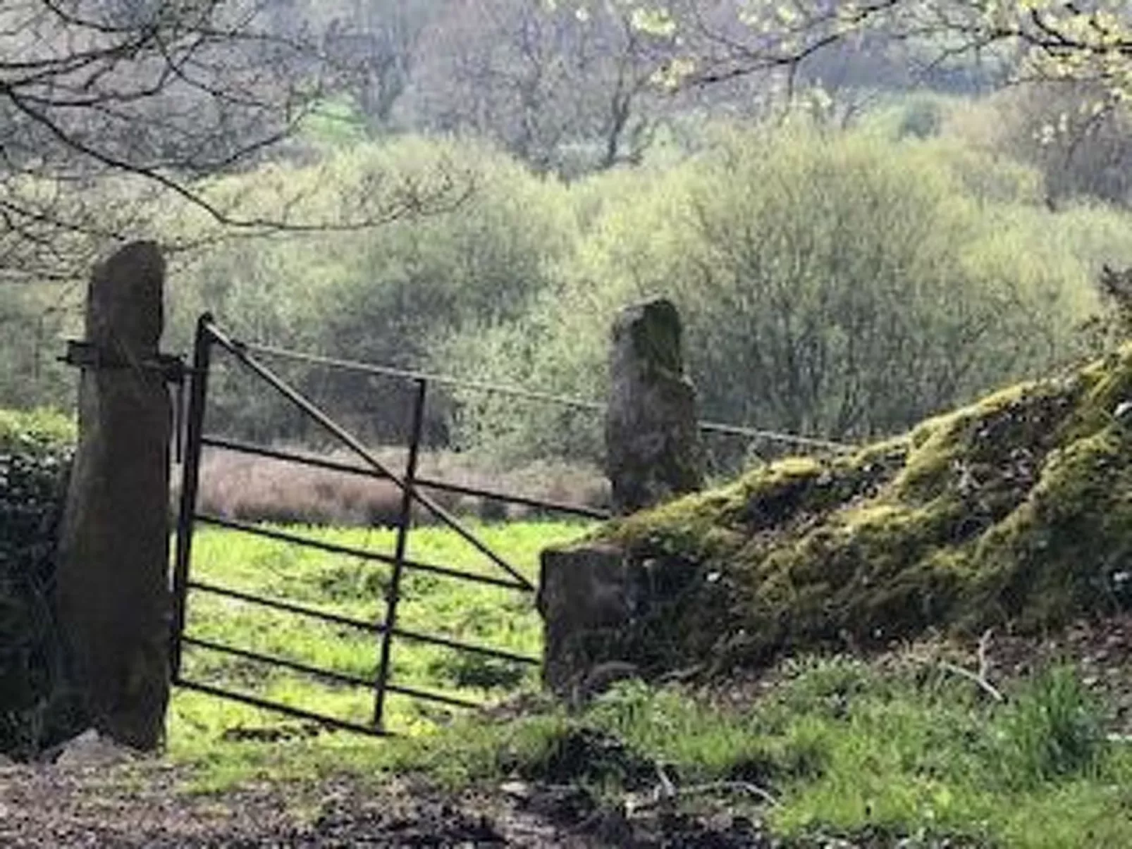 Idyllisches,haustierfreundliches Landhaus Lavender-Buiten