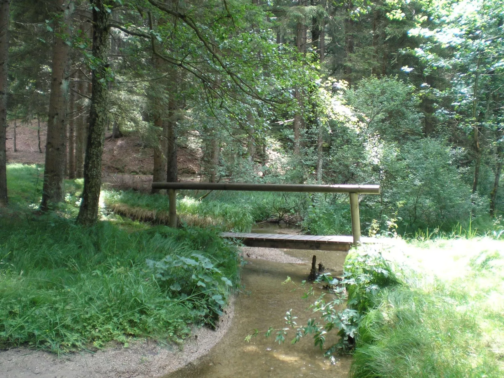 Mit Kaminofen, Fitnessraum und Sauna-Buiten