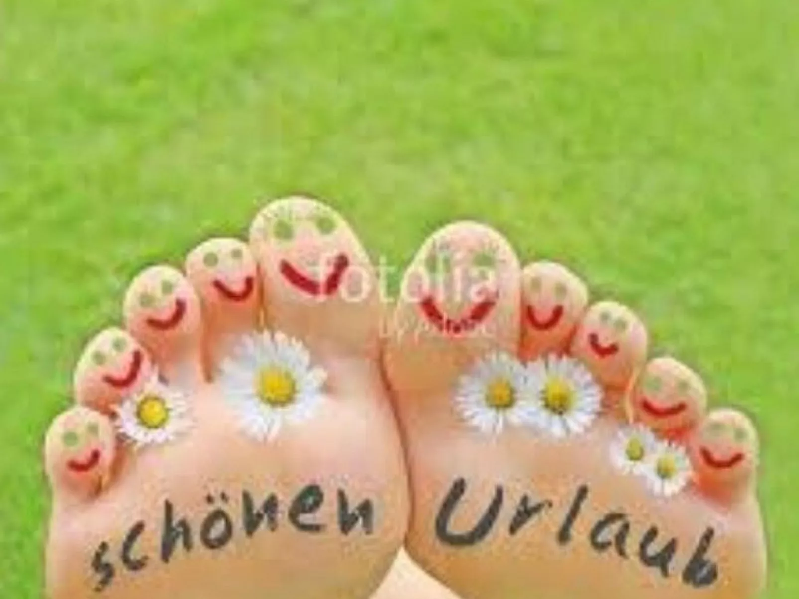 Eifelhäuschen Wald-Image-tags.info