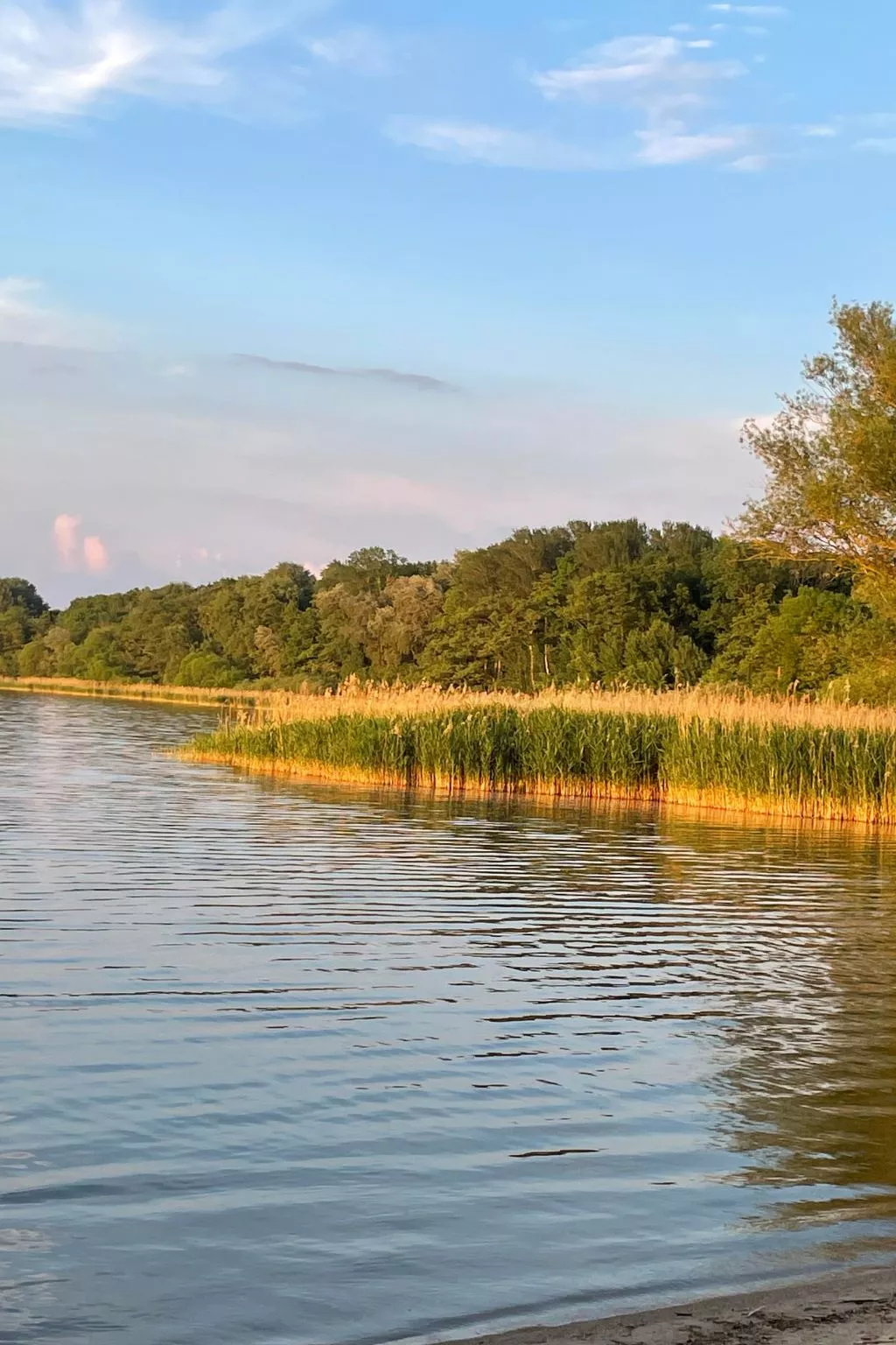 Mit Sauna und Kaminofen-Buiten