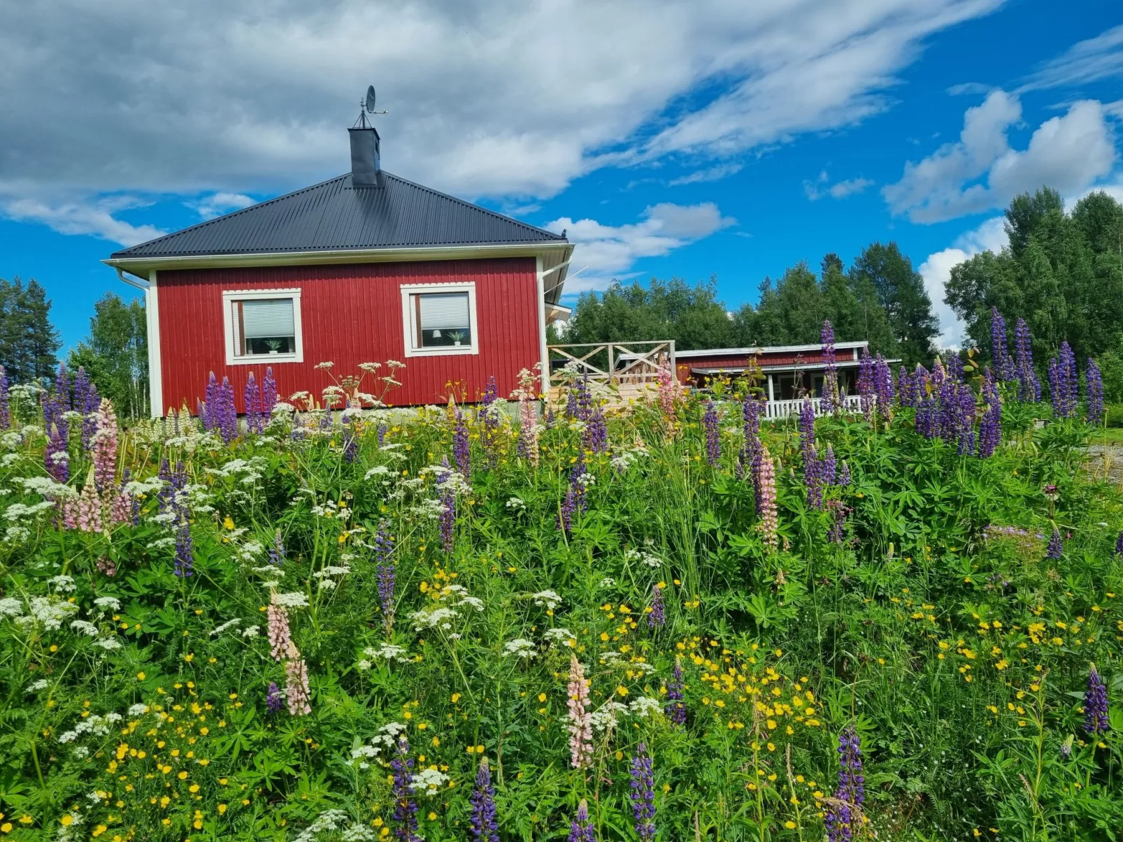 Villa Norrsken-Buiten