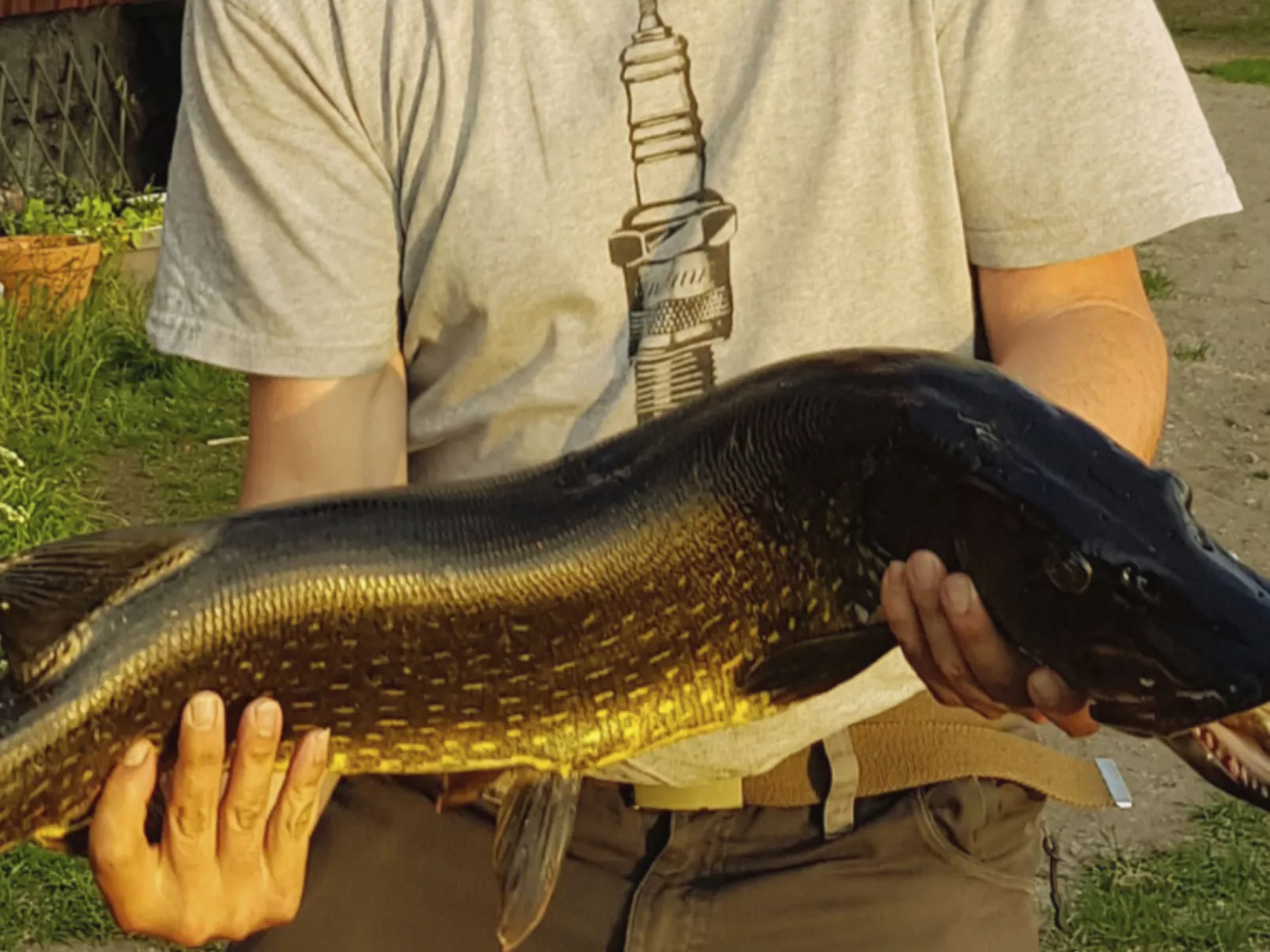 Gemütliches Ferienhaus Angermanland - höga Kusten-Buiten