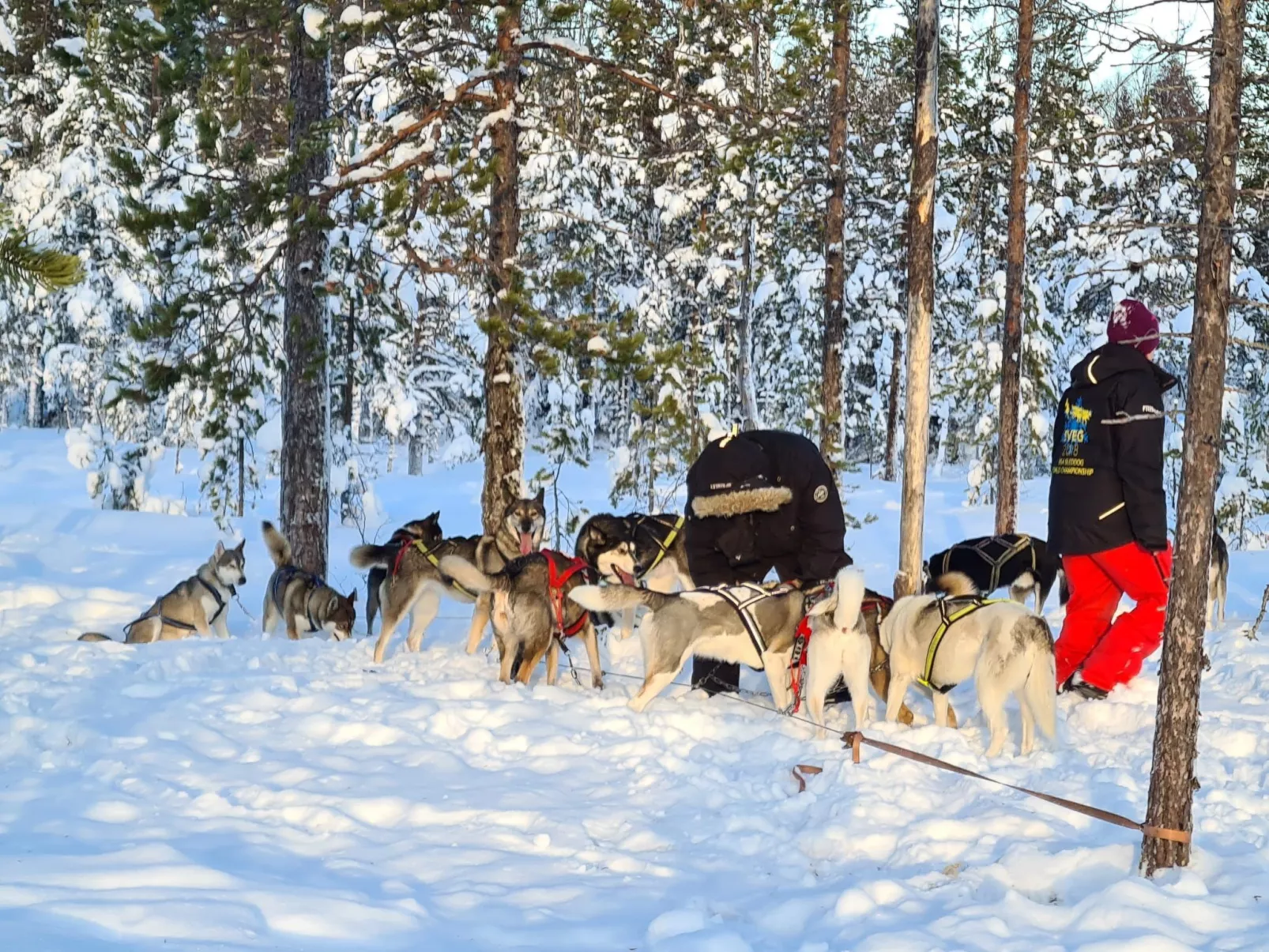 Ölrun Stuga-Image-tags.info