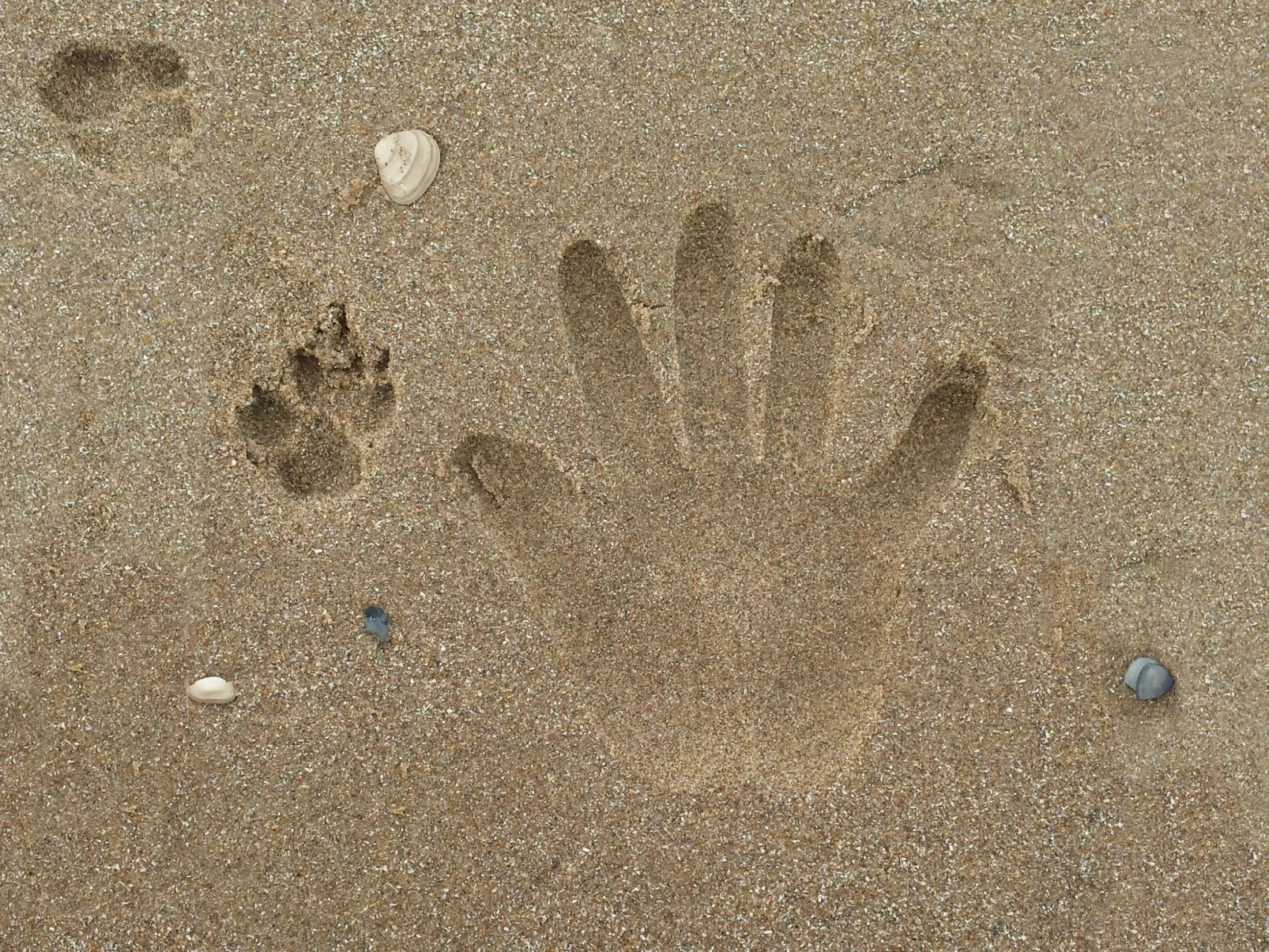 BlueSky - Image-tags.info