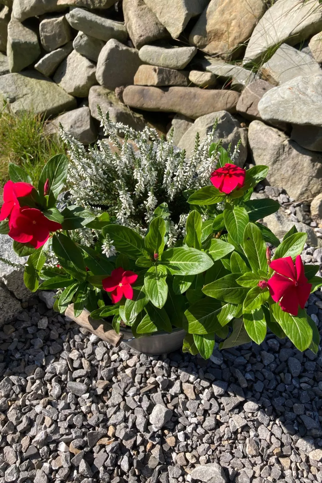 Tor der Berge - Hütte Wolf-Buiten