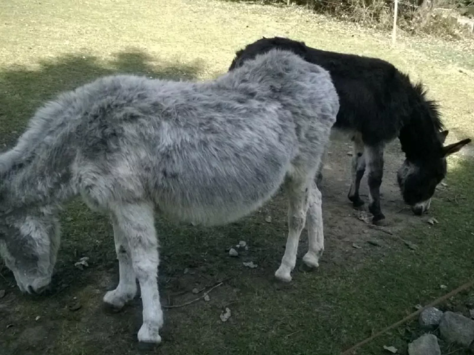 Haus Annemarie-Buiten