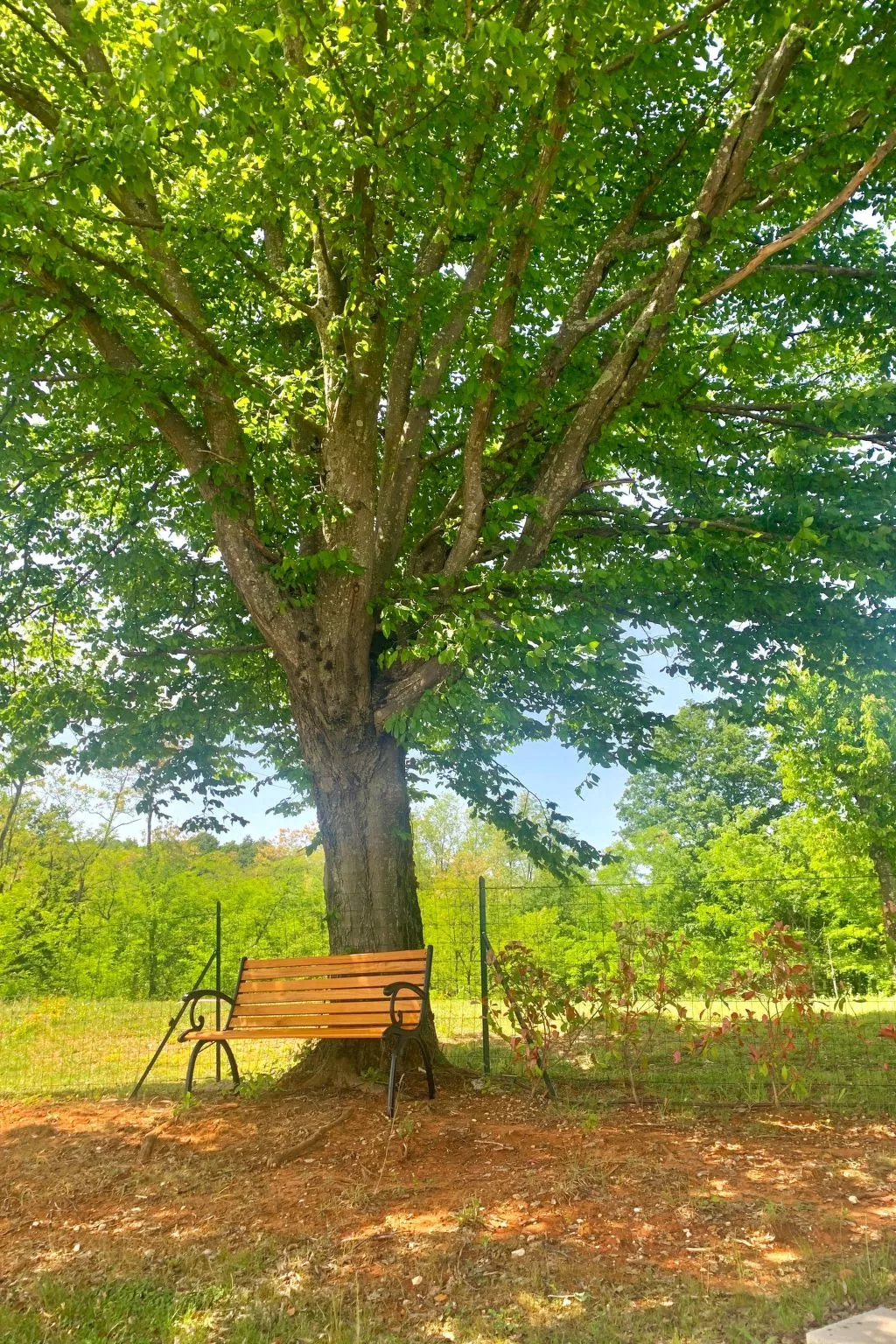 Charmante Villa mit gepflegtem Garten und beheiztem Pool-Buiten