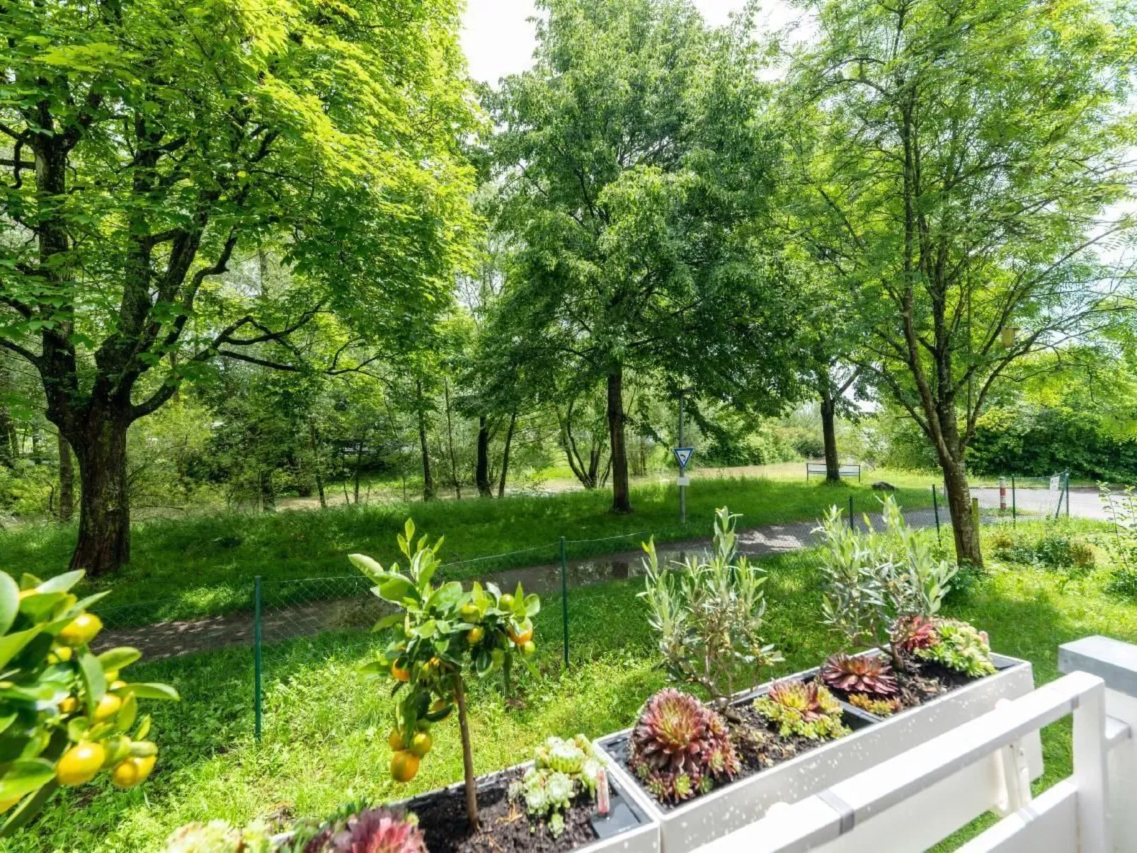 Traum Wohnung direkt am Bodensee mit Seesicht-Buiten