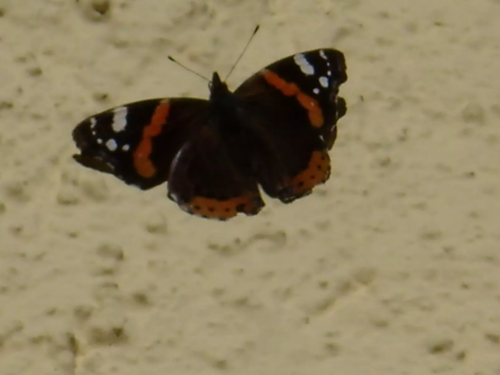 Betttis Bungalow-Buiten