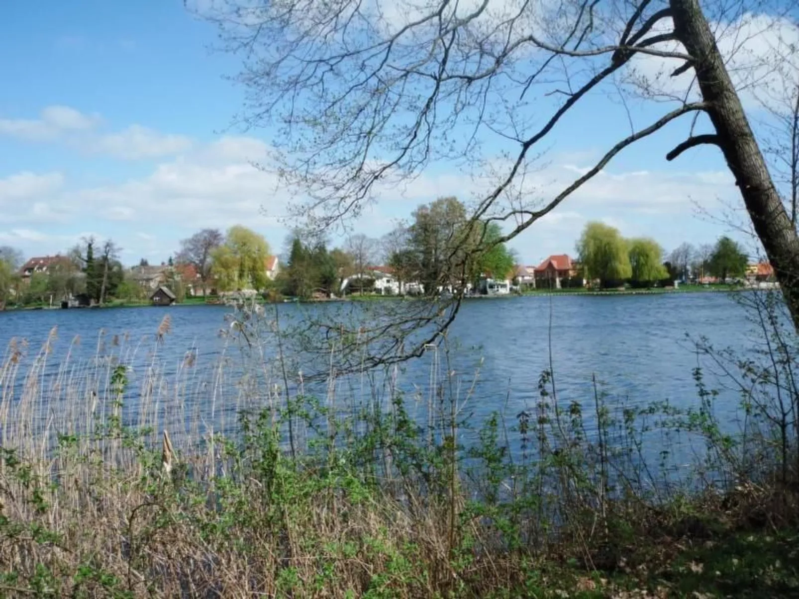 Ferienhaus Claire am Klostersee Urlaub mit Hund-Buiten