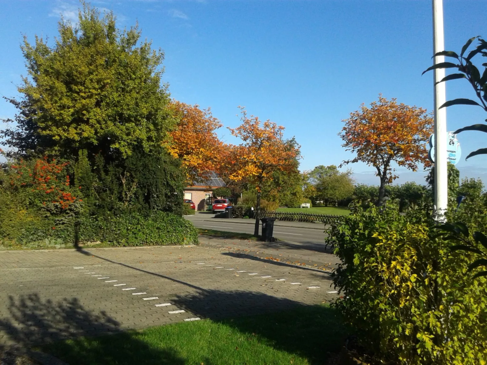 Heringsmöwe in Neue Tiefe-Buiten