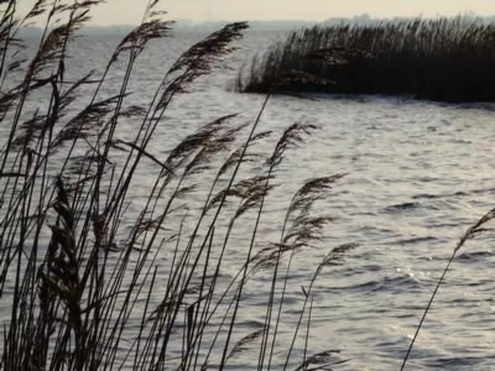 Bauernhaus auf Rügen-Buiten