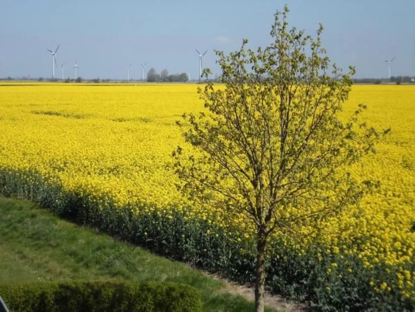 Gemütliche Ferienwohnung in Upleward mit Balkon-Buiten