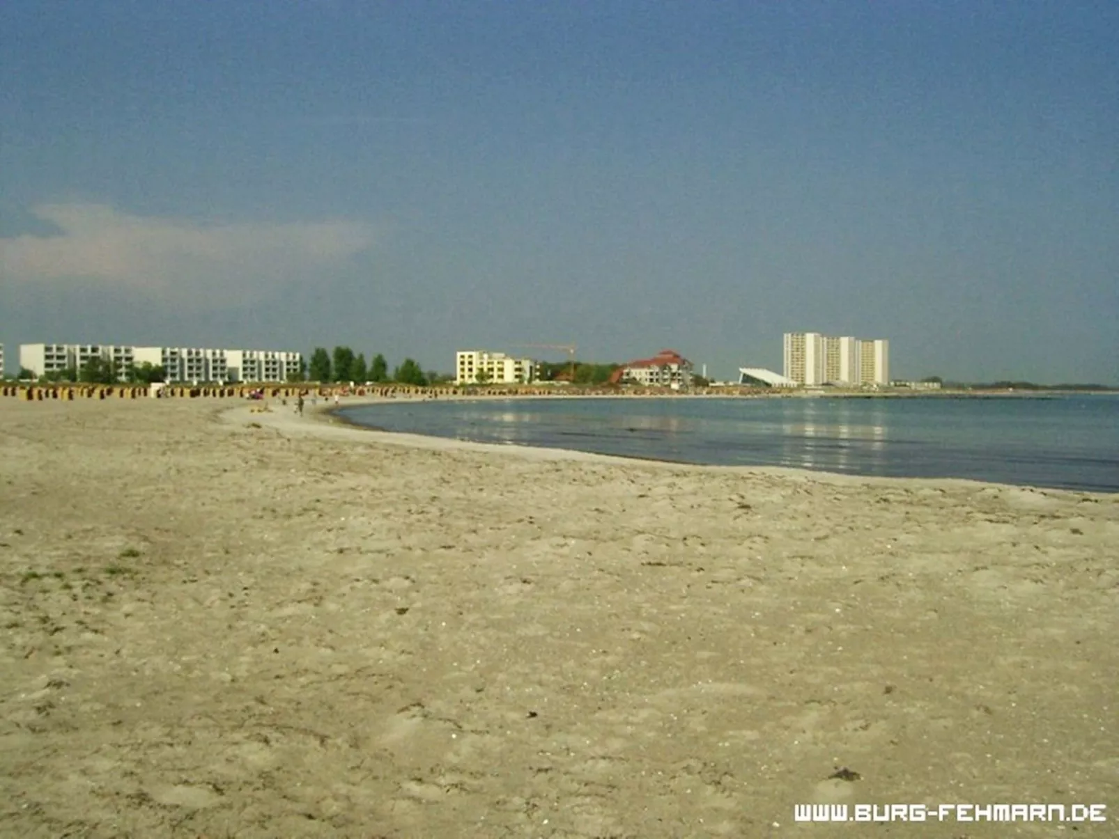 Zwergmöwe in Neue Tiefe-Buiten