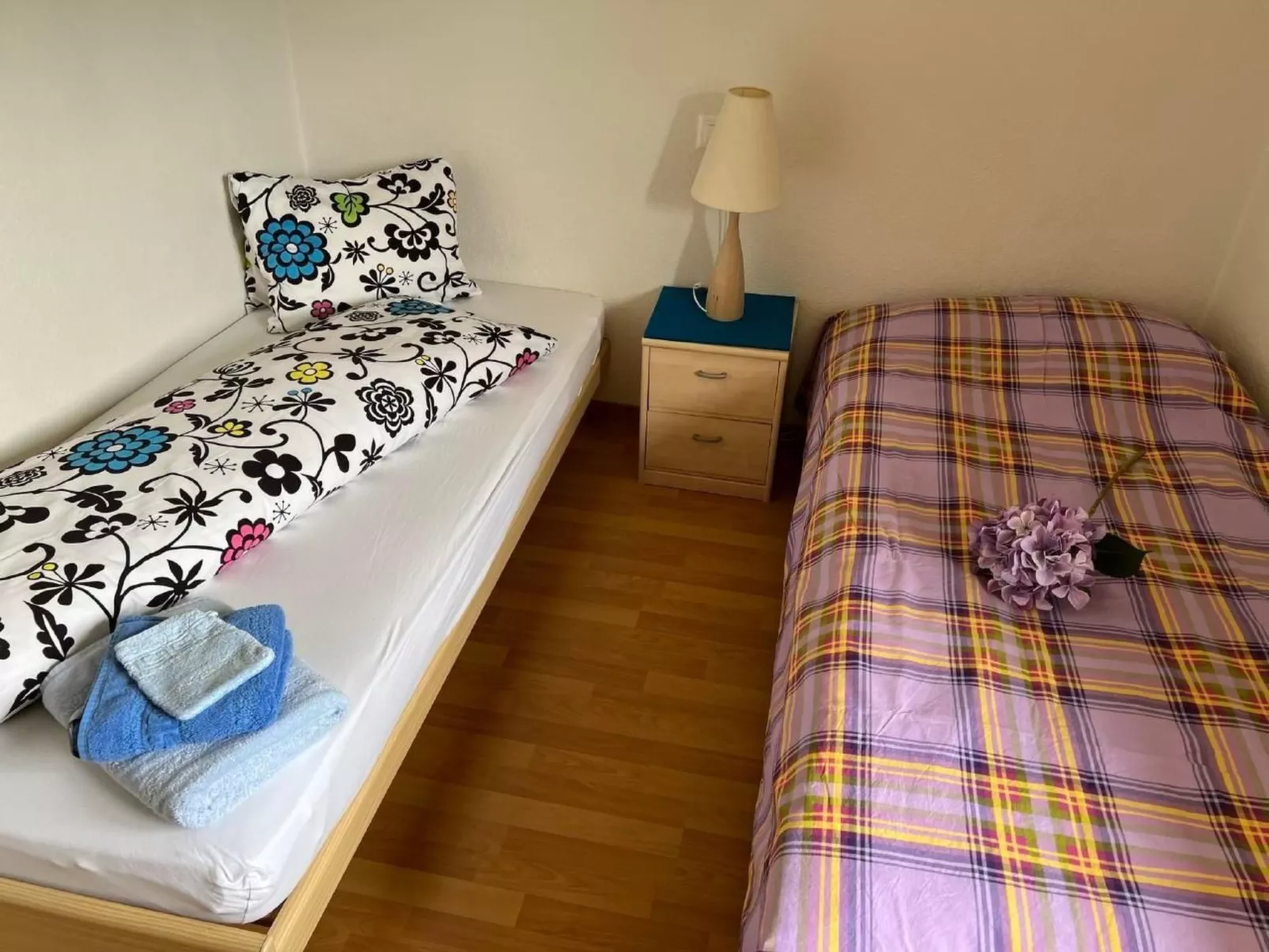 Carina 5 - Image-tags.info