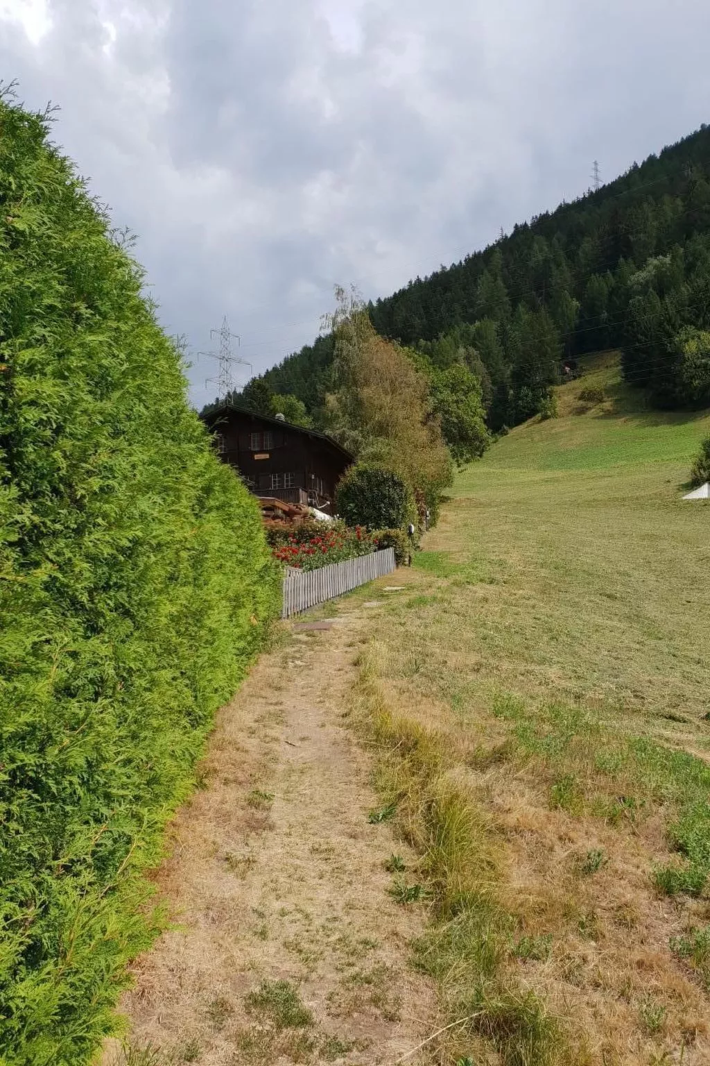 Ritz-Image-tags.info