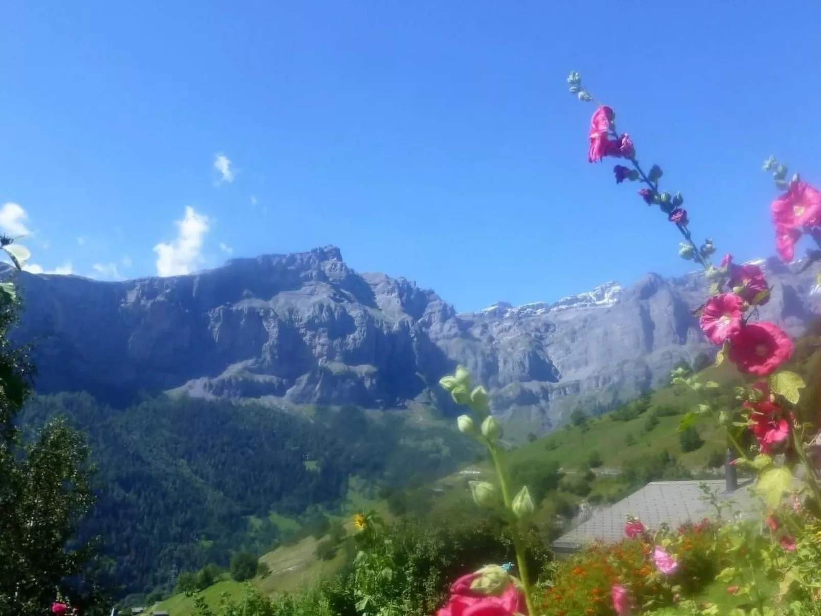 Chalet Abendstern-Buiten