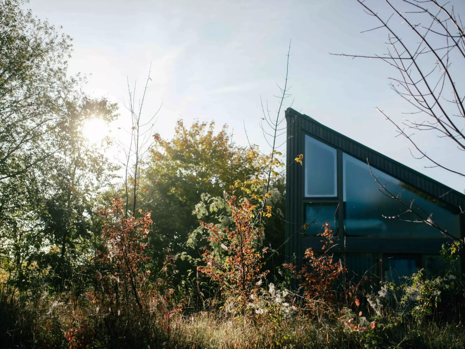 (X) Cabin Cozy-Buiten