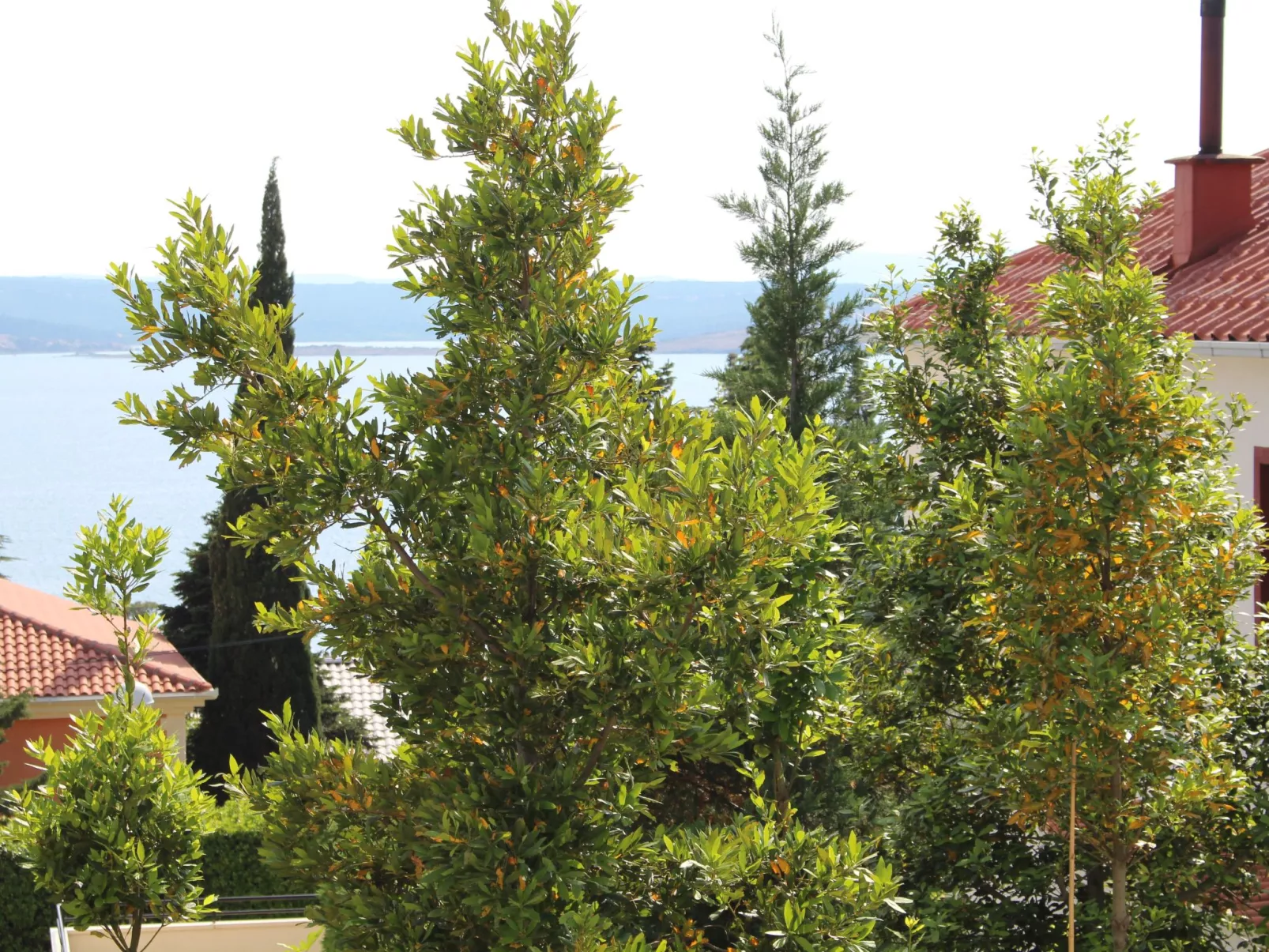 Wohnung in Dramalj mit Terrasse-Image-tags.info