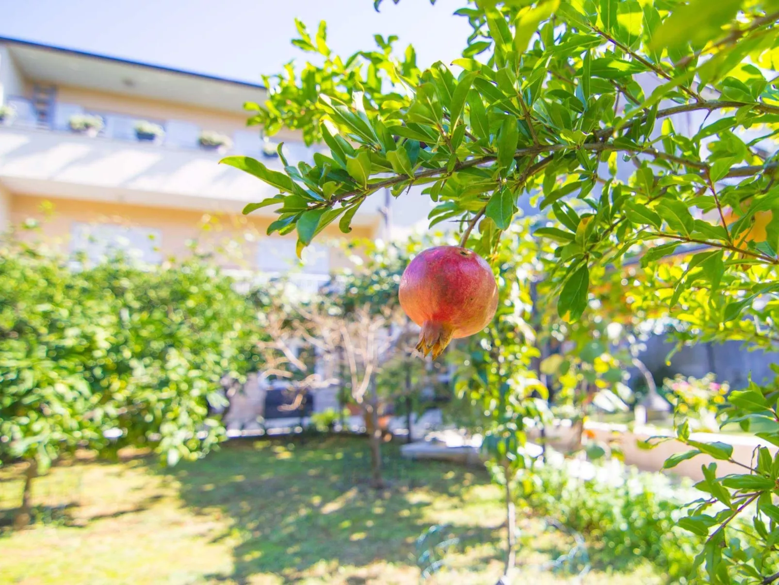 Gemütliche Wohnung mit Gartenblick-Buiten
