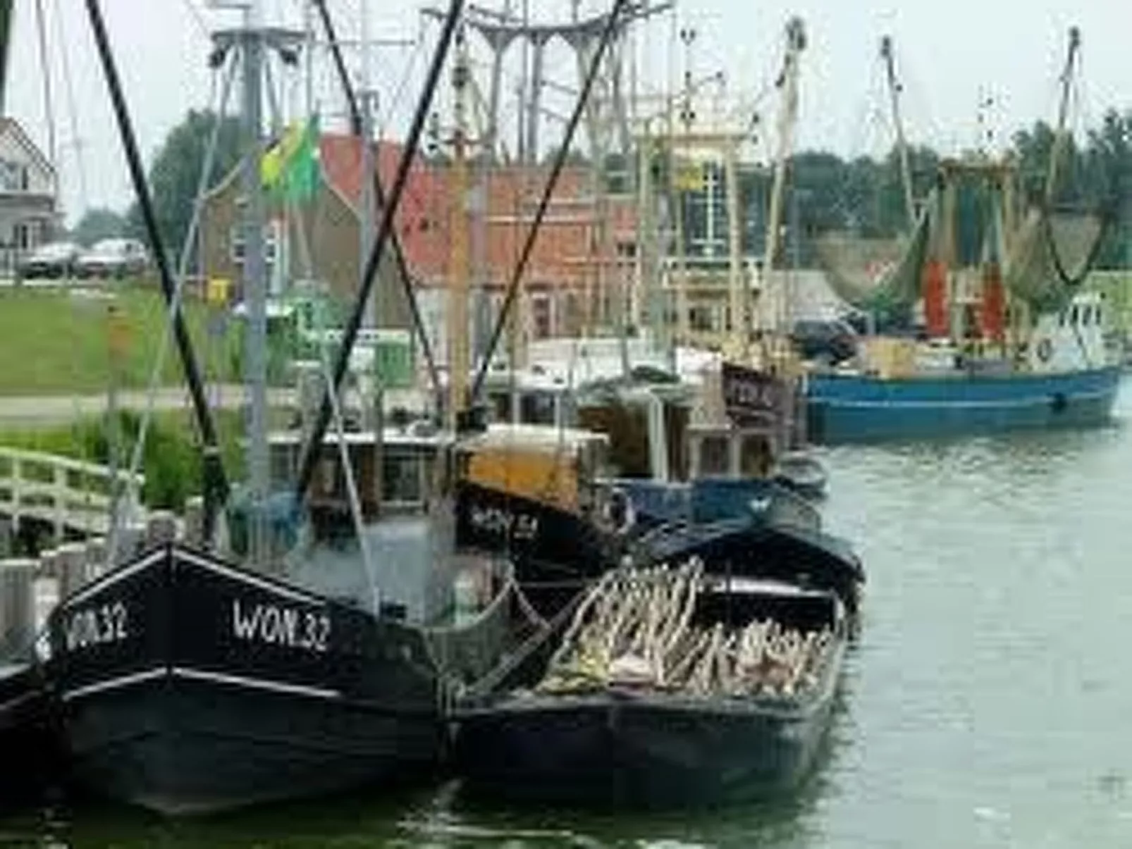 Melkstaartje-Image-tags.info