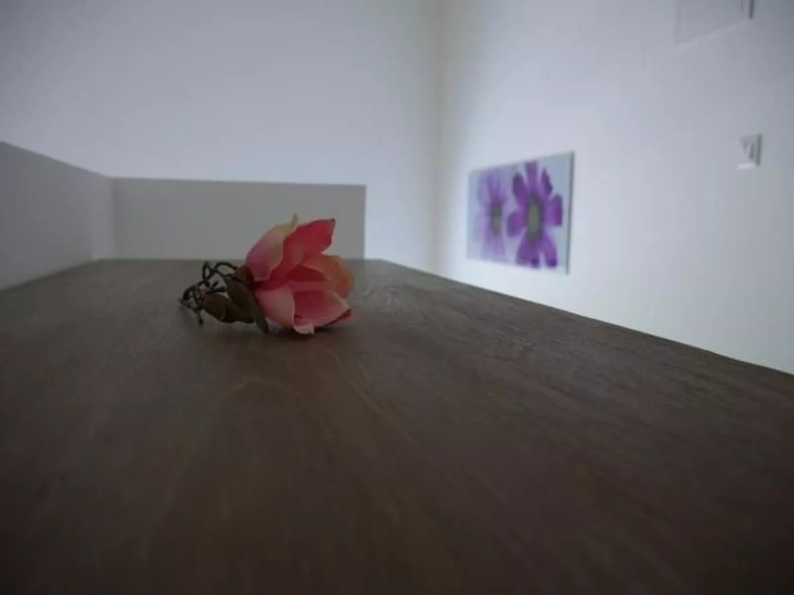 Villa Paradise-Binnen