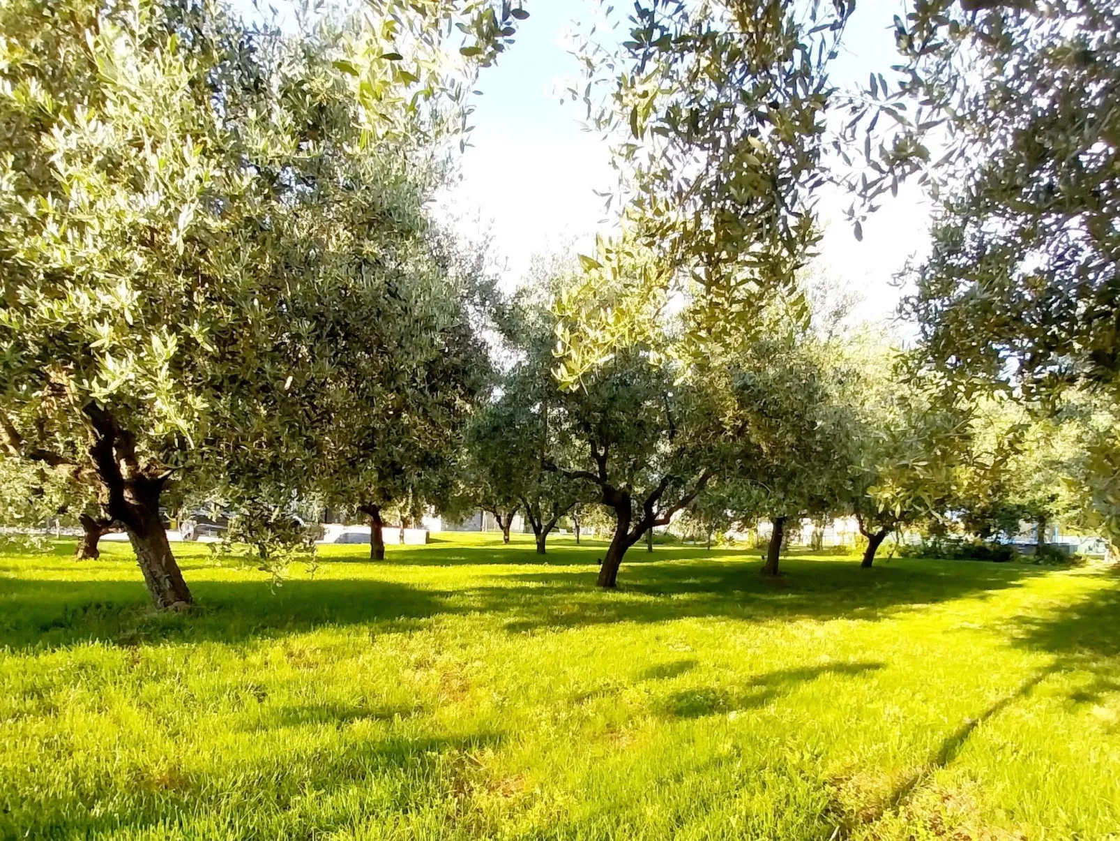 Hacienda Matea - Oase der Romantik in Strandnähe-Buiten