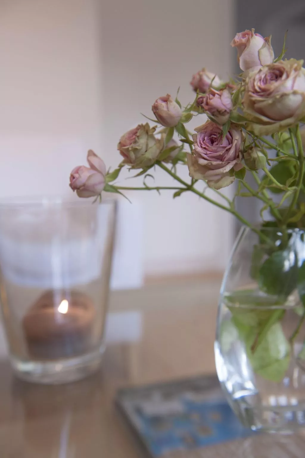 Wohlfühloase für Natur- und Gartenliebhaber-Binnen