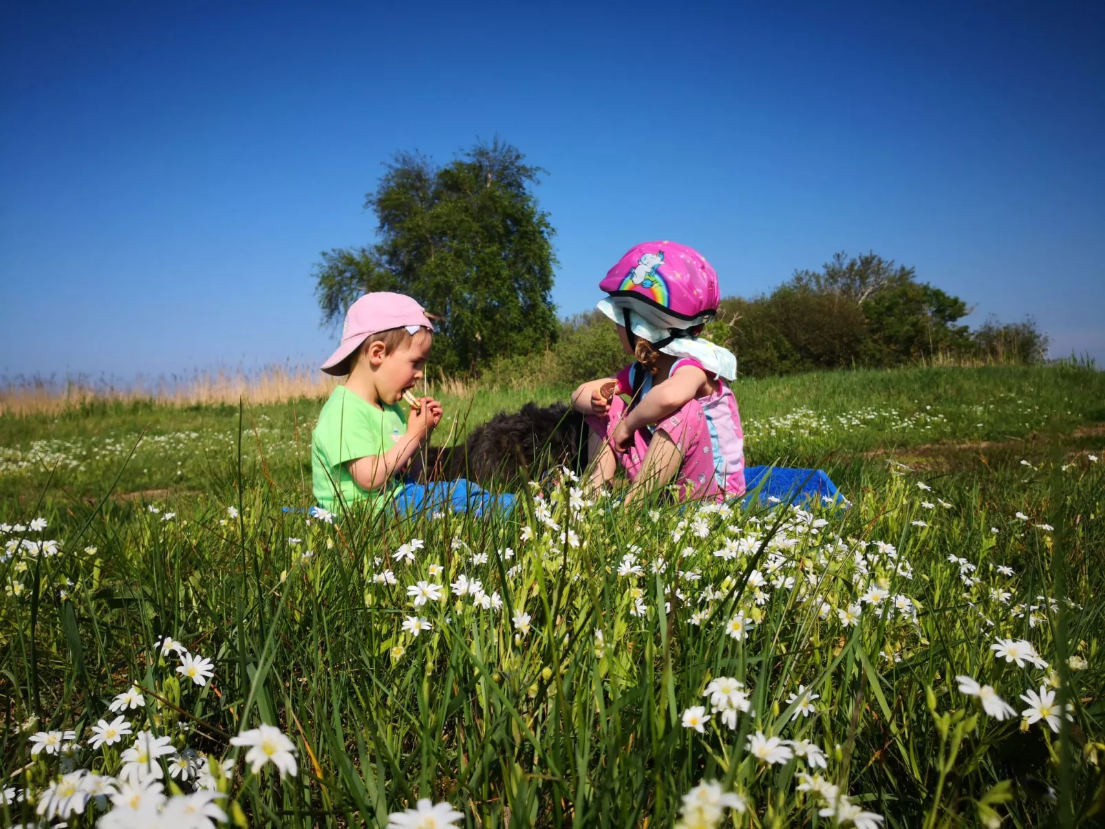 FeWo Star unten-Buiten