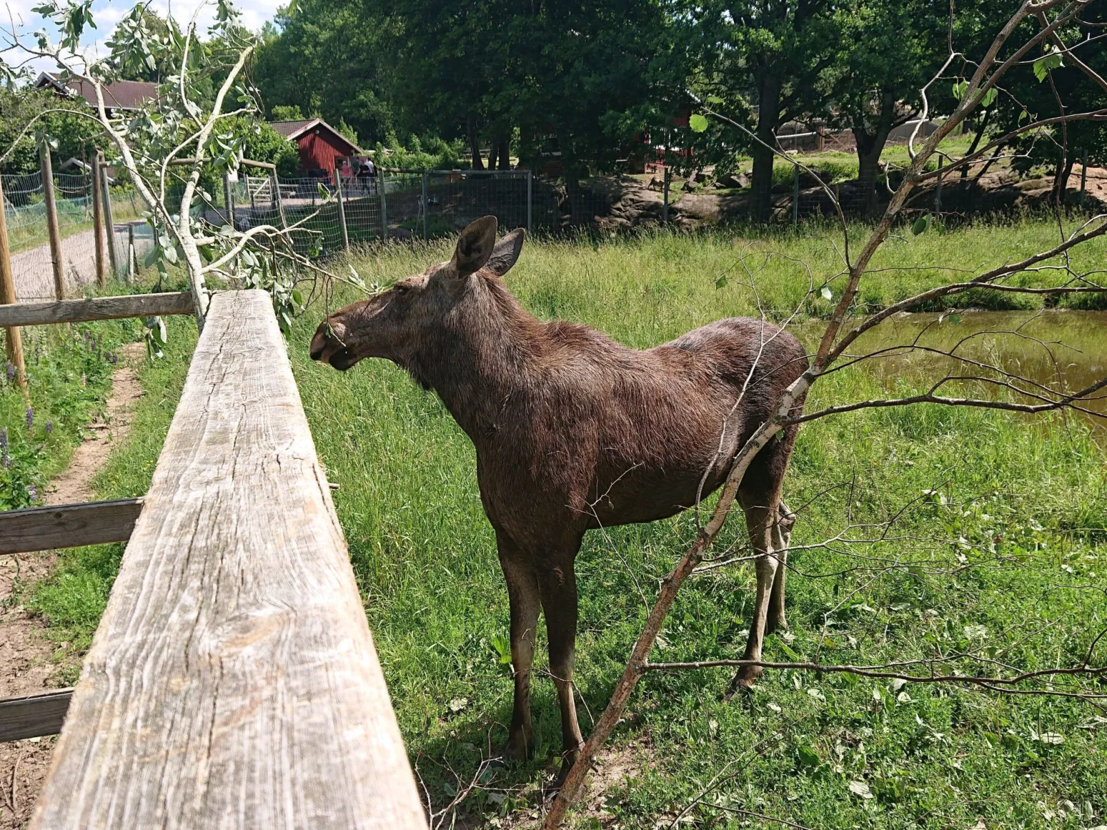 Familienfreundliches Ferienhaus mit großem Garten-Image-tags.info