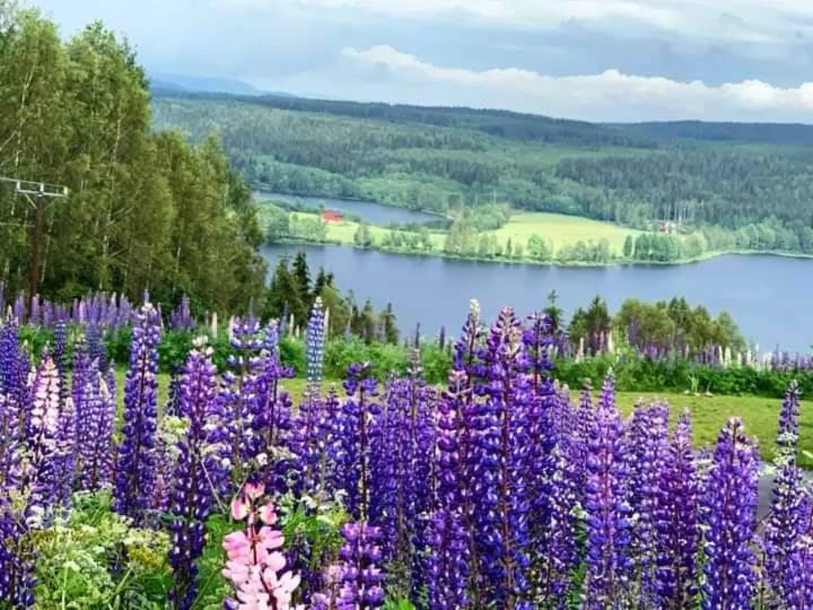 Tolles Ferienhaus in Sunne mit Großer Terrasse-Buiten