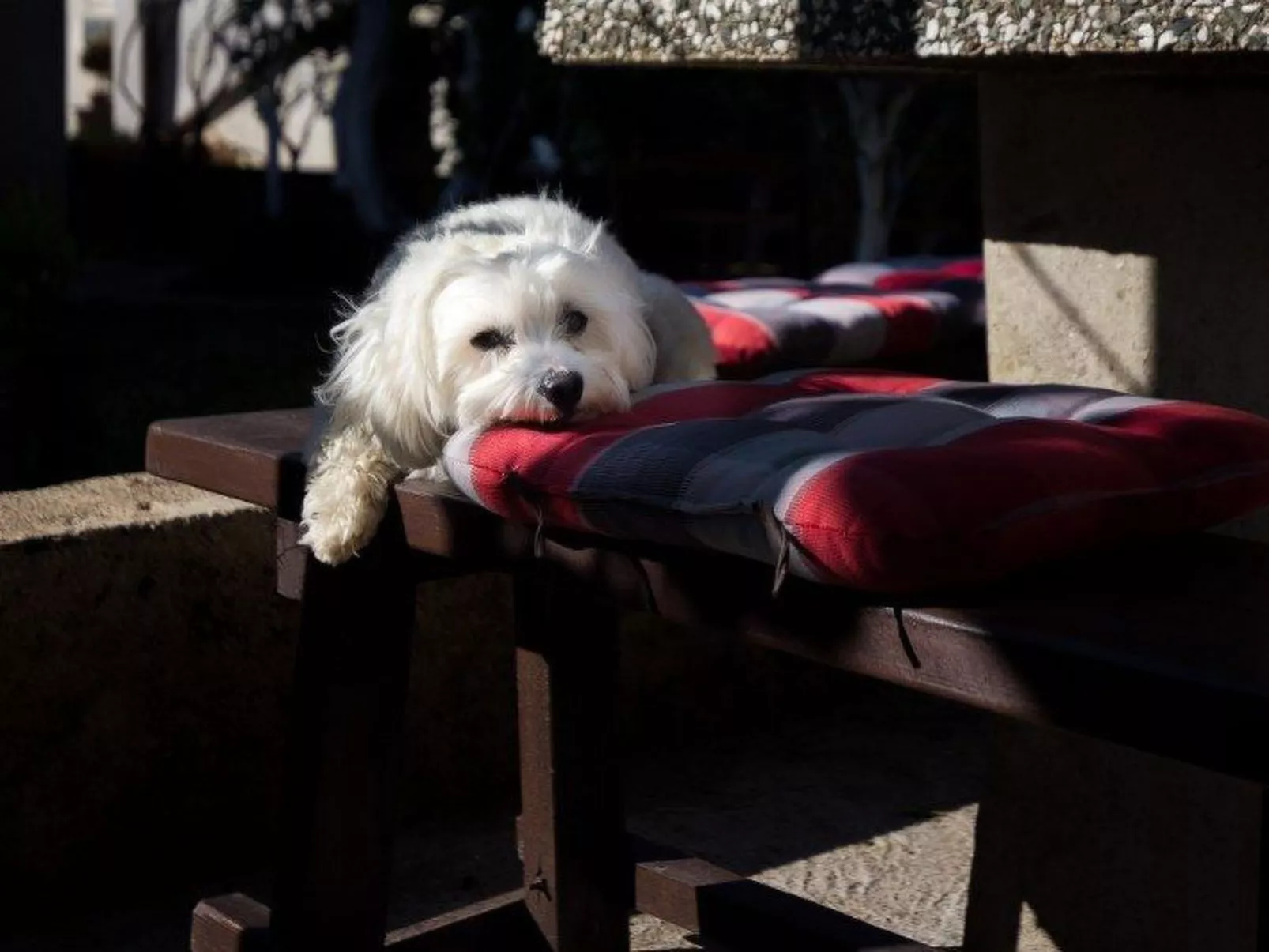 Kleines Studio Slaven in Krk-Binnen