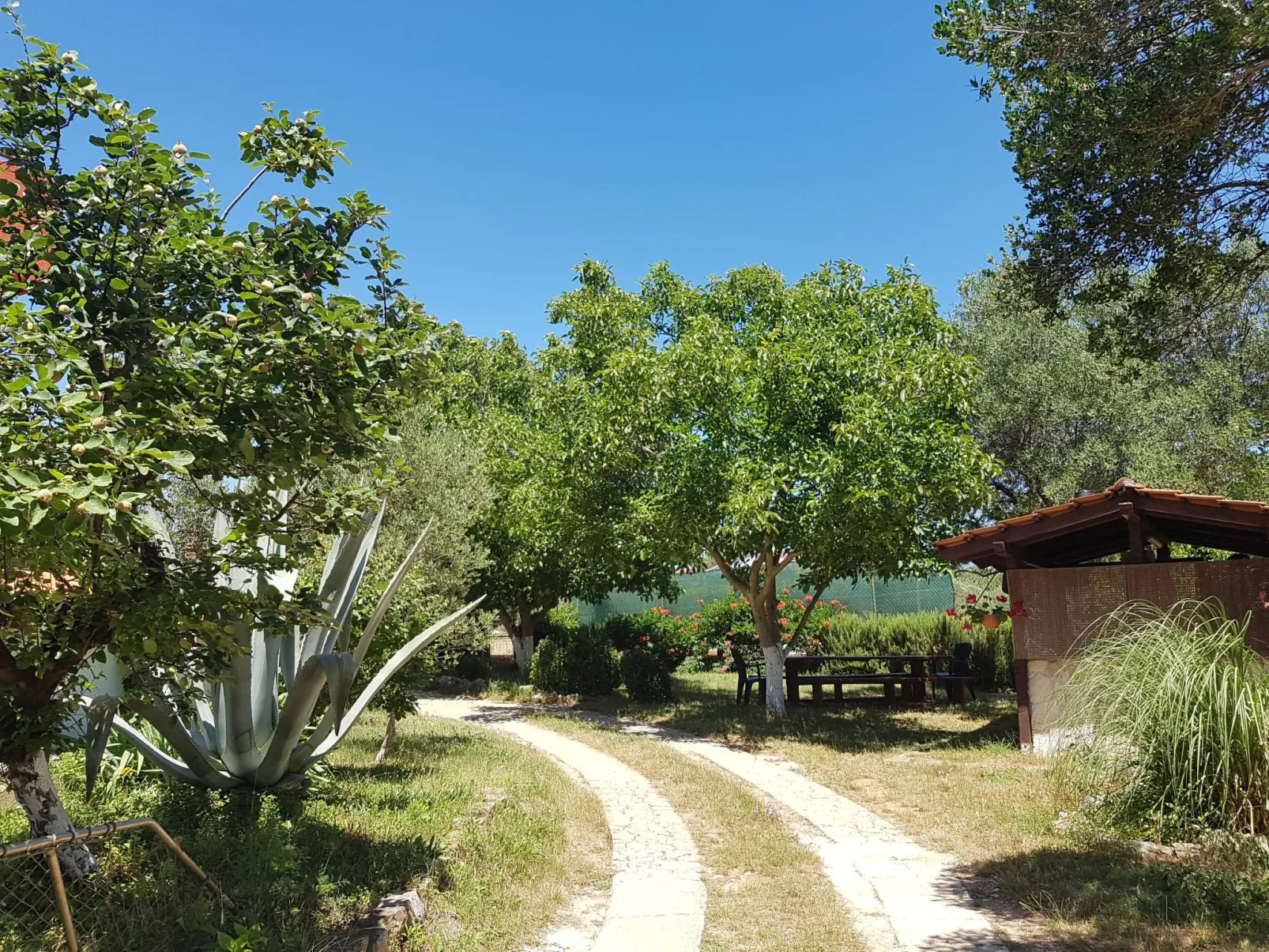 Ganze Wohnung in Ližnjan mit Möbliertem Balkon-Buiten
