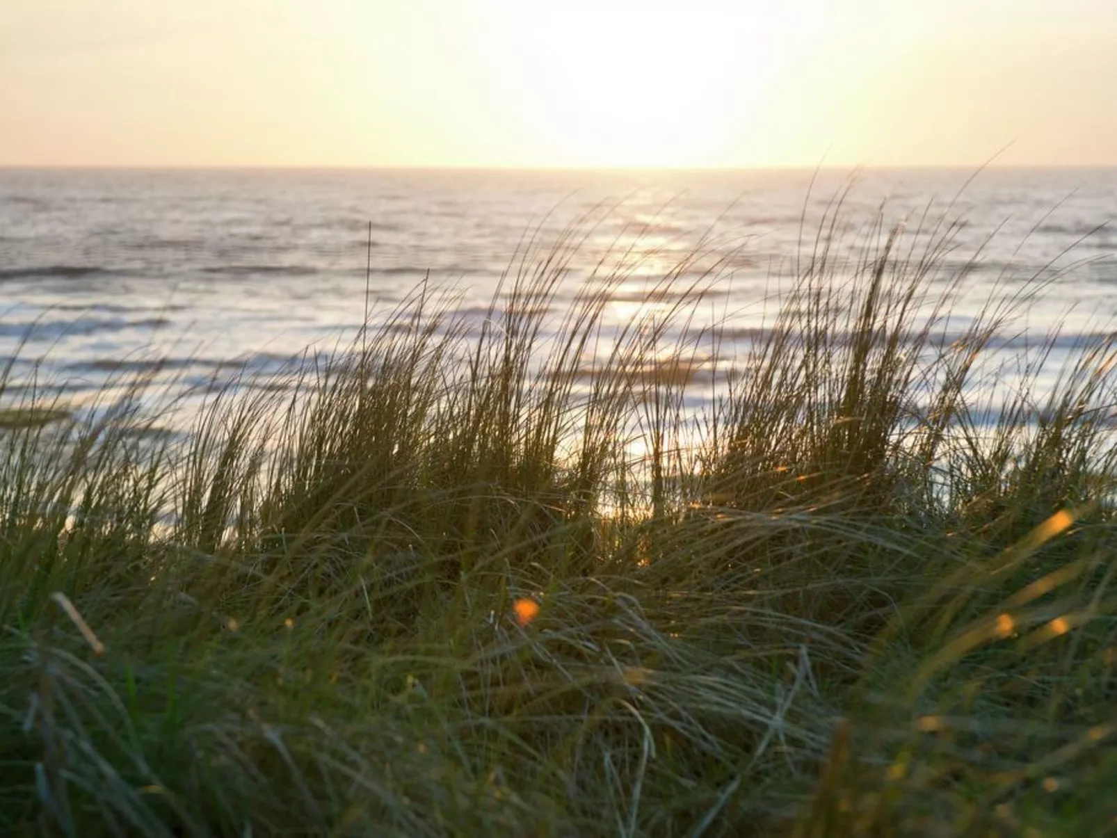 Gemütlicher Bungalow für 4 Personen-Buiten