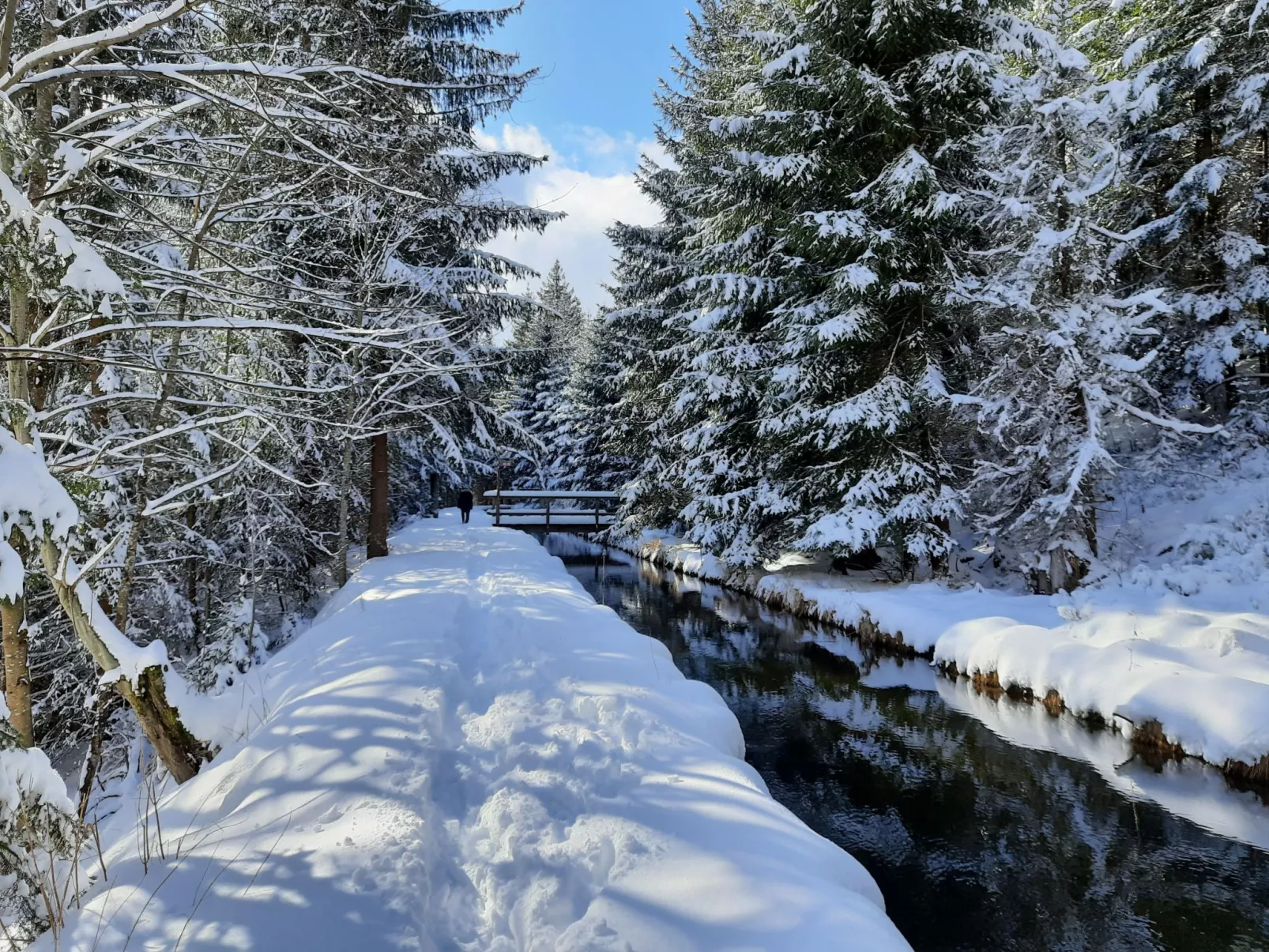 Seitz 2 in Bayerisch Eisenstein-Buiten